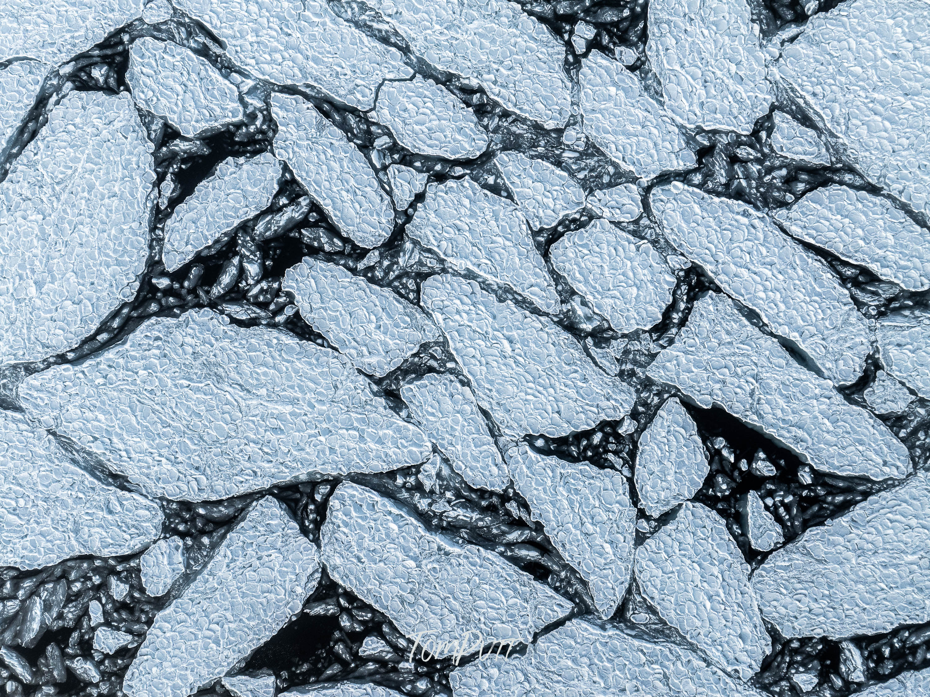 Svalbard Mosaic