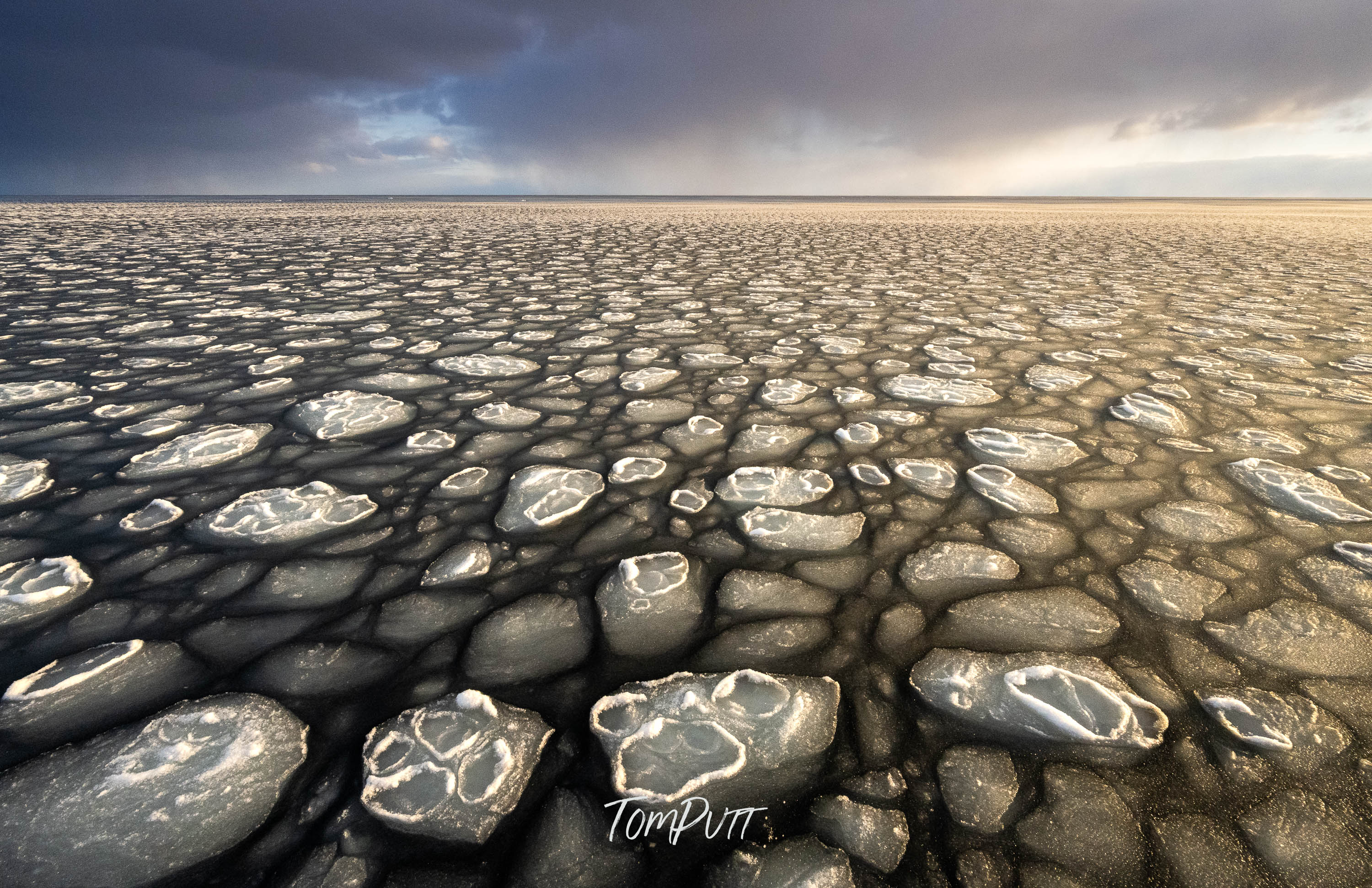 Svalbard Floor Tiles