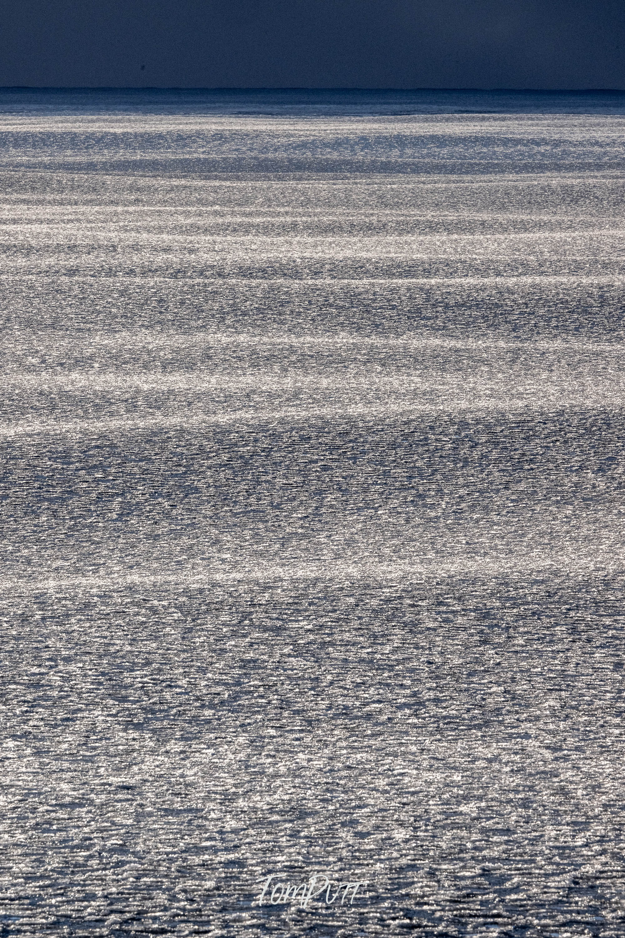 Svalbard Shimmer