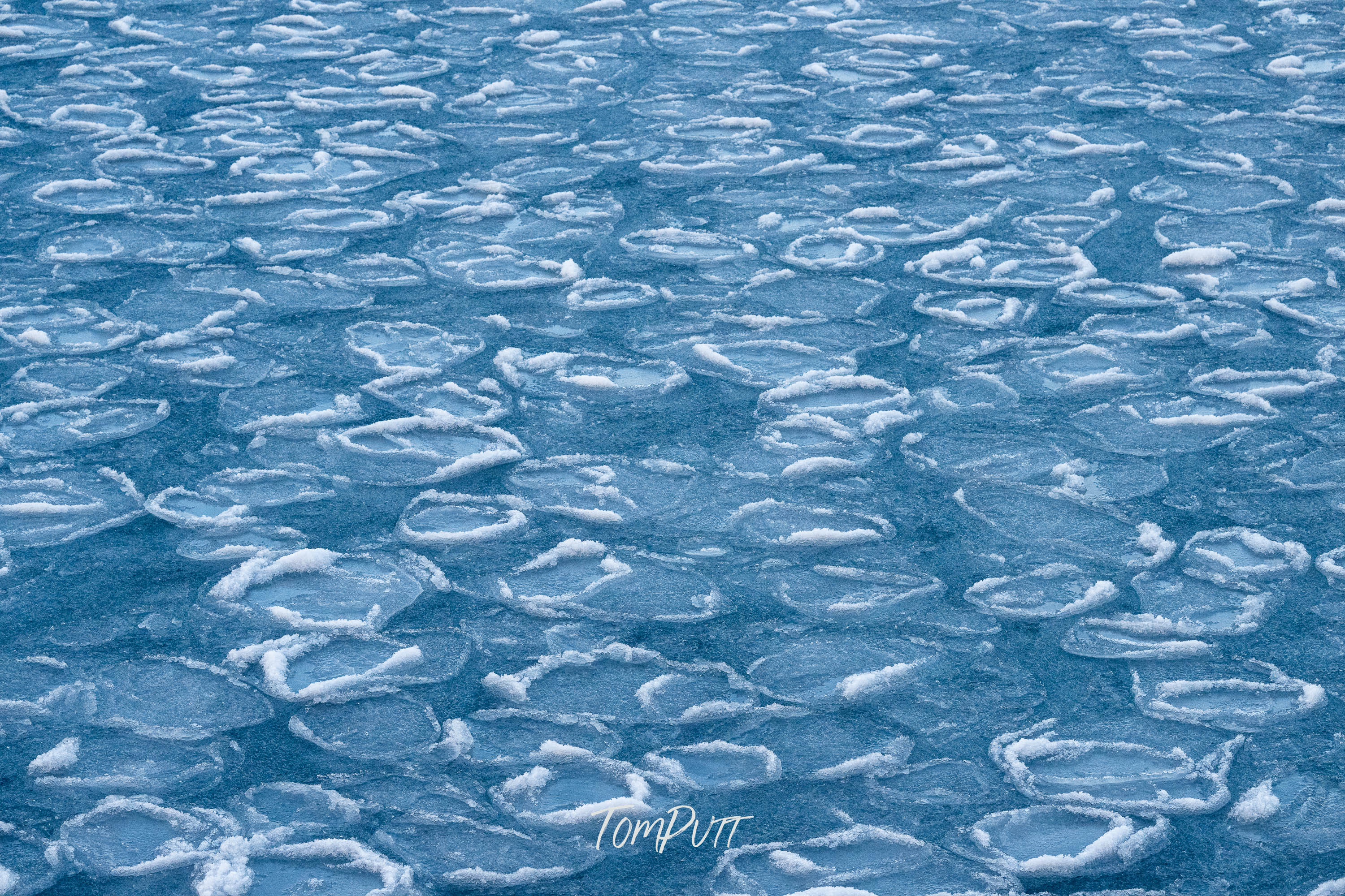 Blue Circles, Svalbard