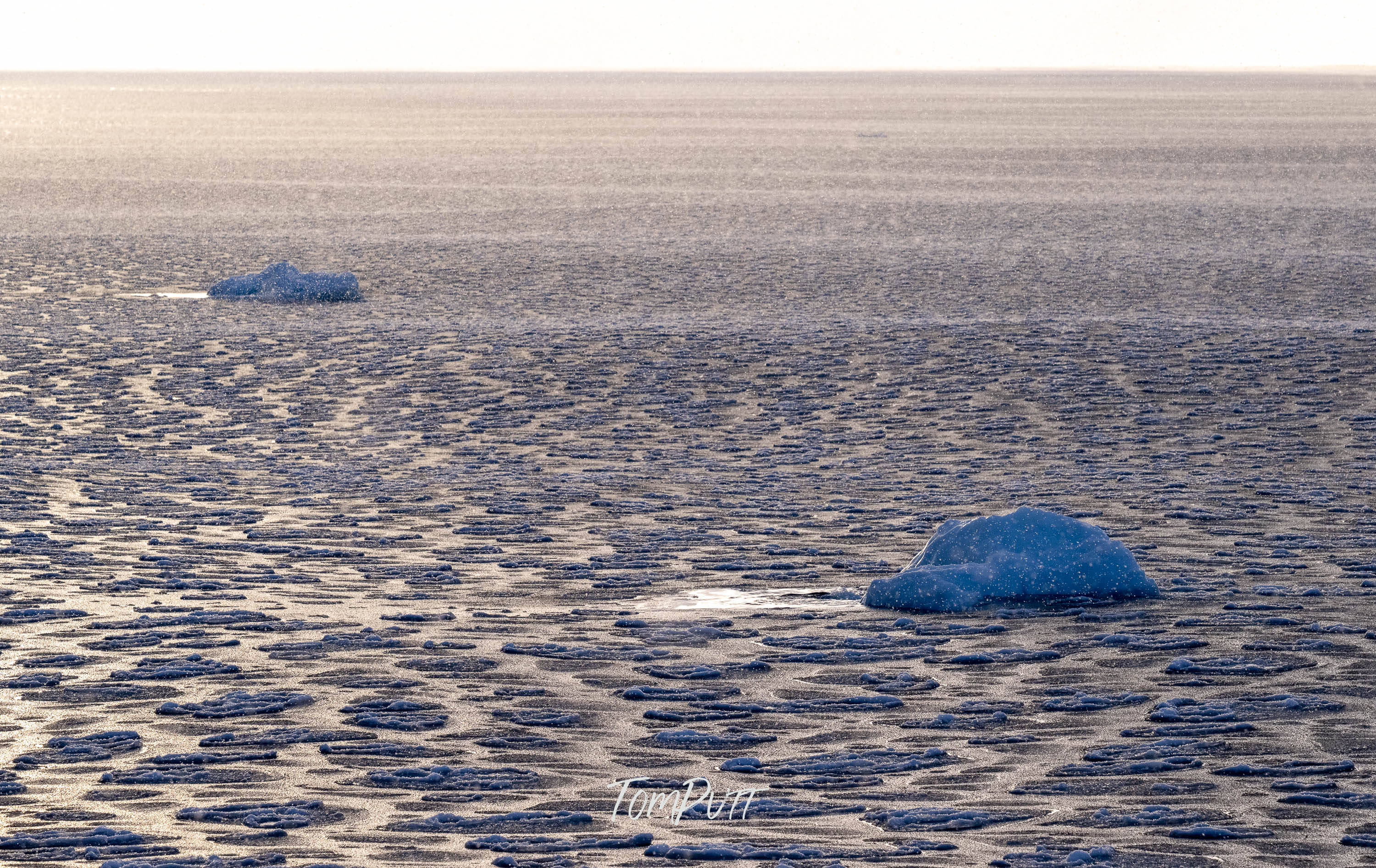 Svalbard Drift