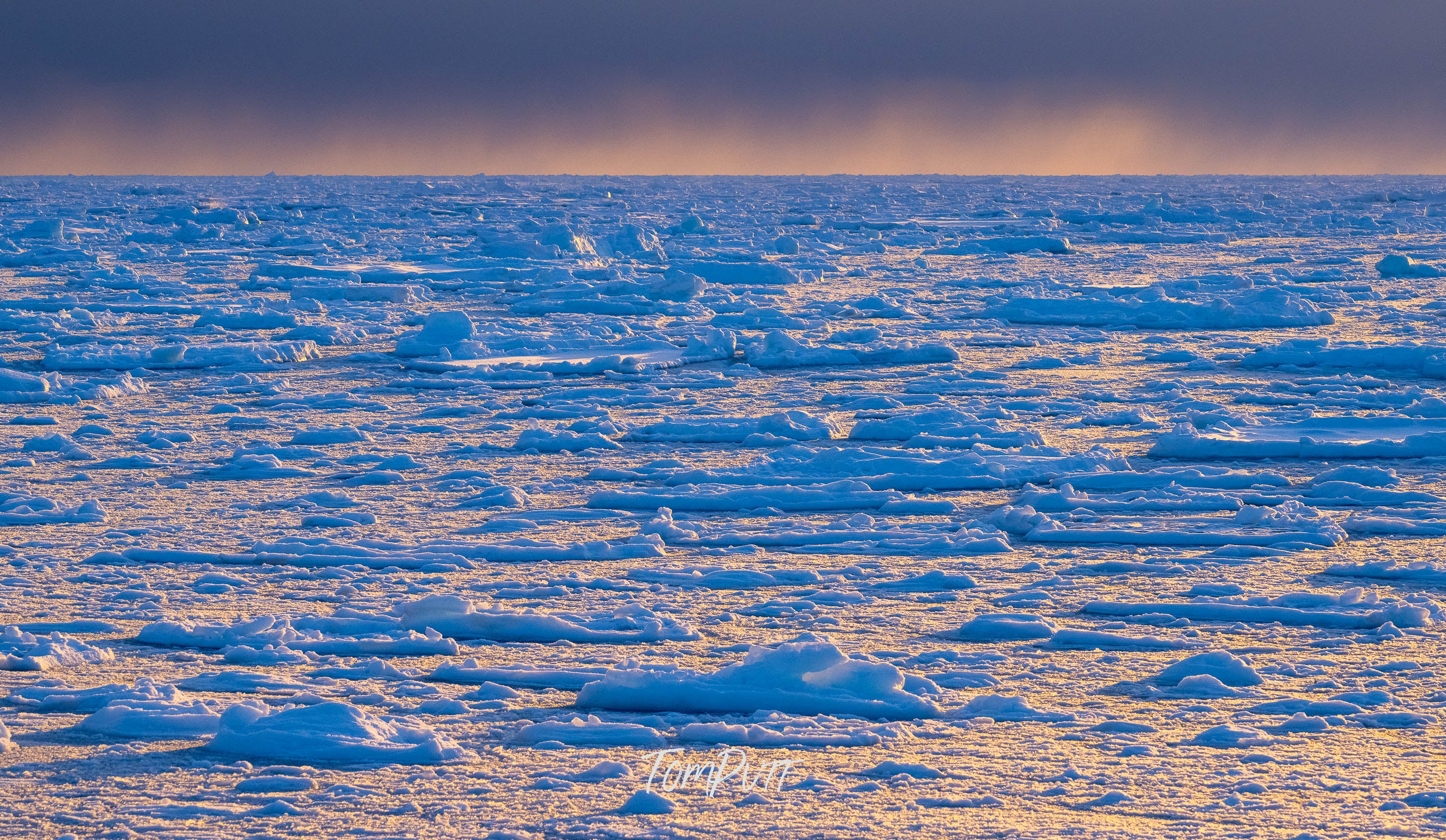 Svalbard Icescape