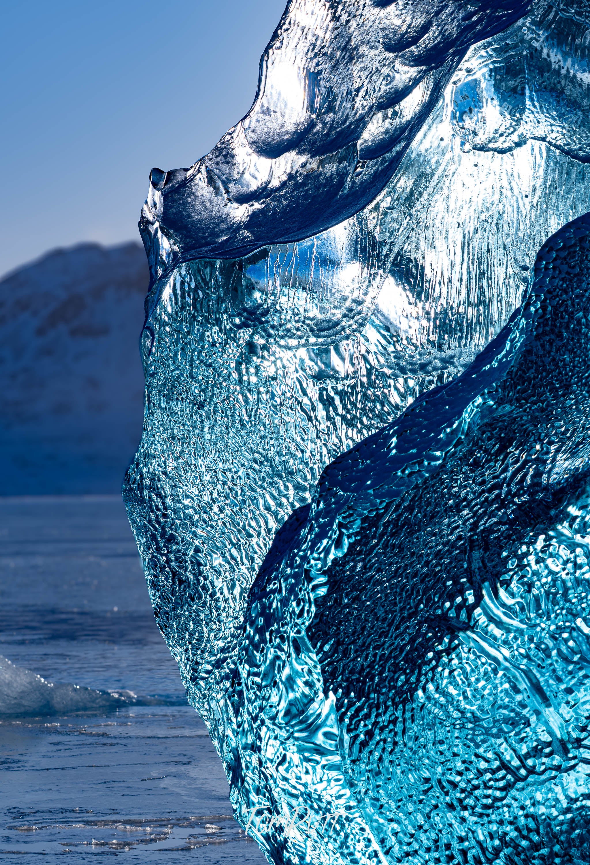 Svalbard Ice Study