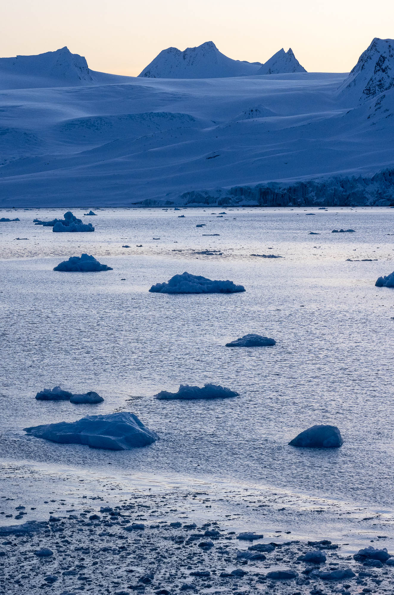 Svalbard Chill