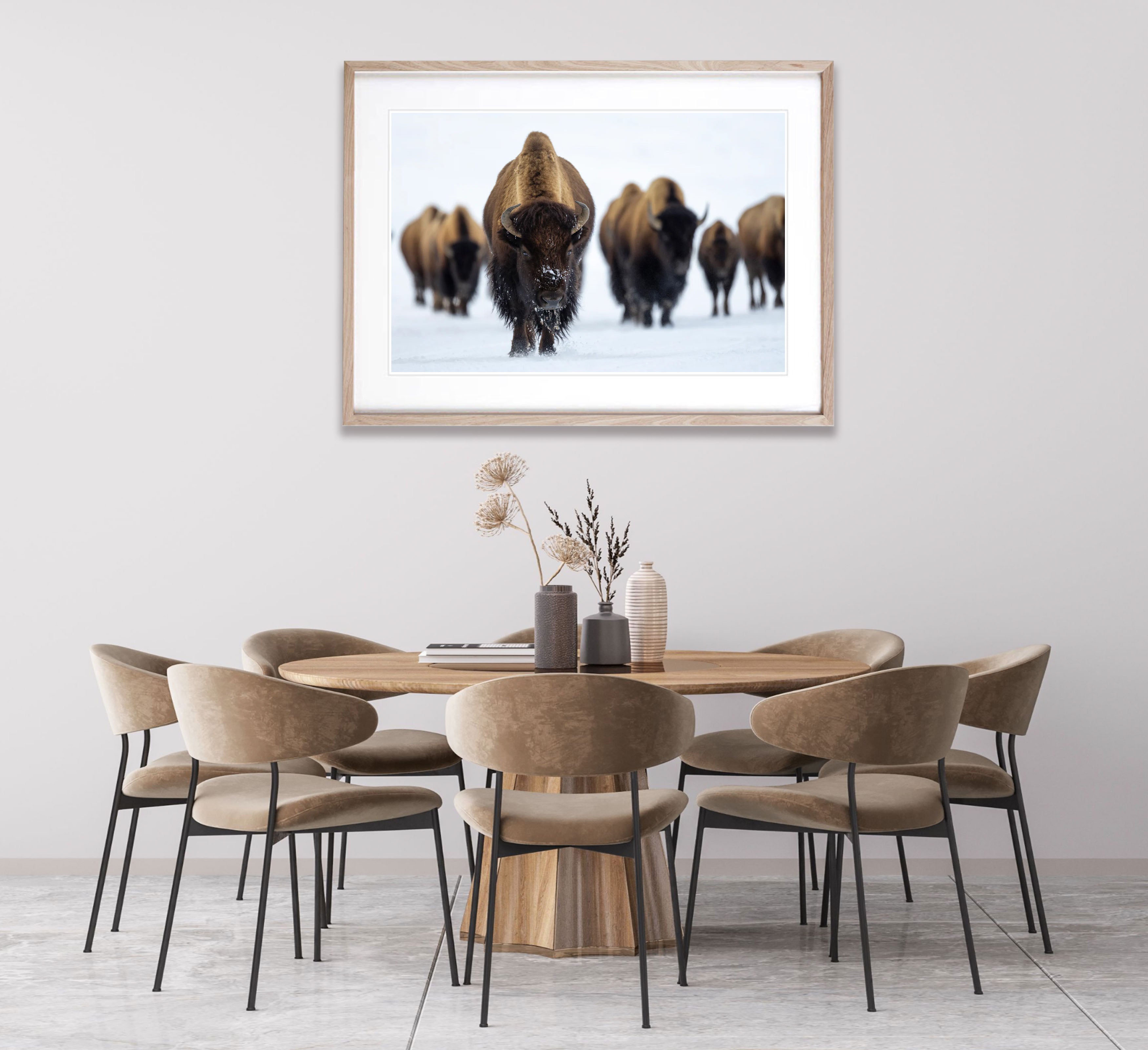 ARTWORK INSTOCK - The Bison, Yellowstone NP - 150x100cms Canvas Print Raw Oak