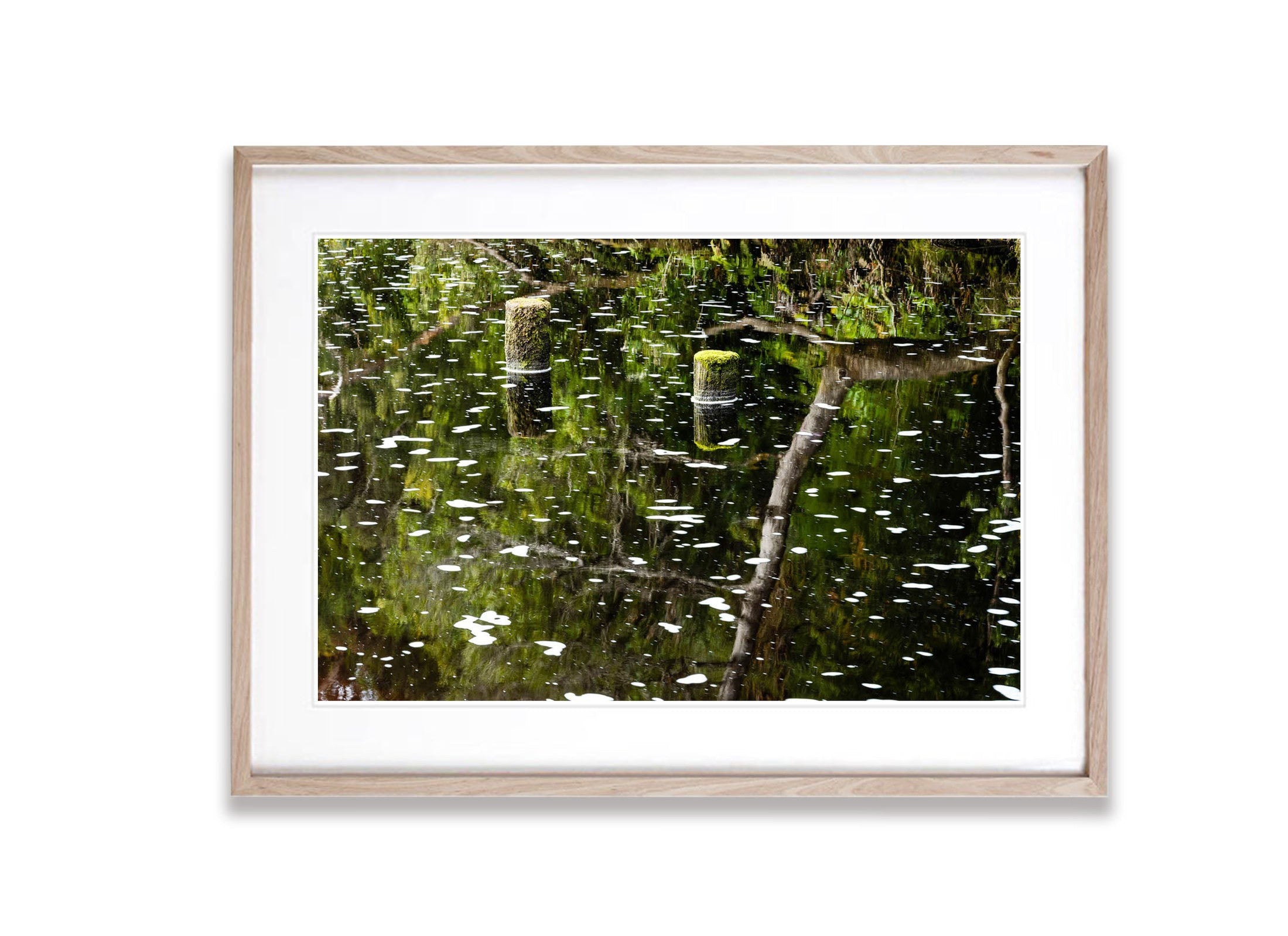 The Franklin River at Sir Jon Falls Landing, Tasmania