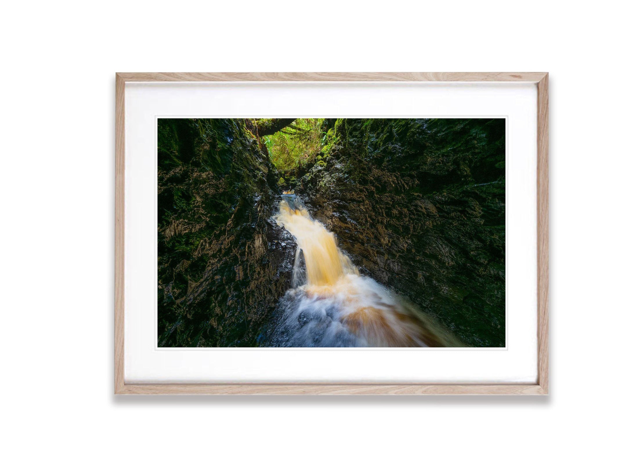 The Lost World, The Franklin River No.9, Tasmania