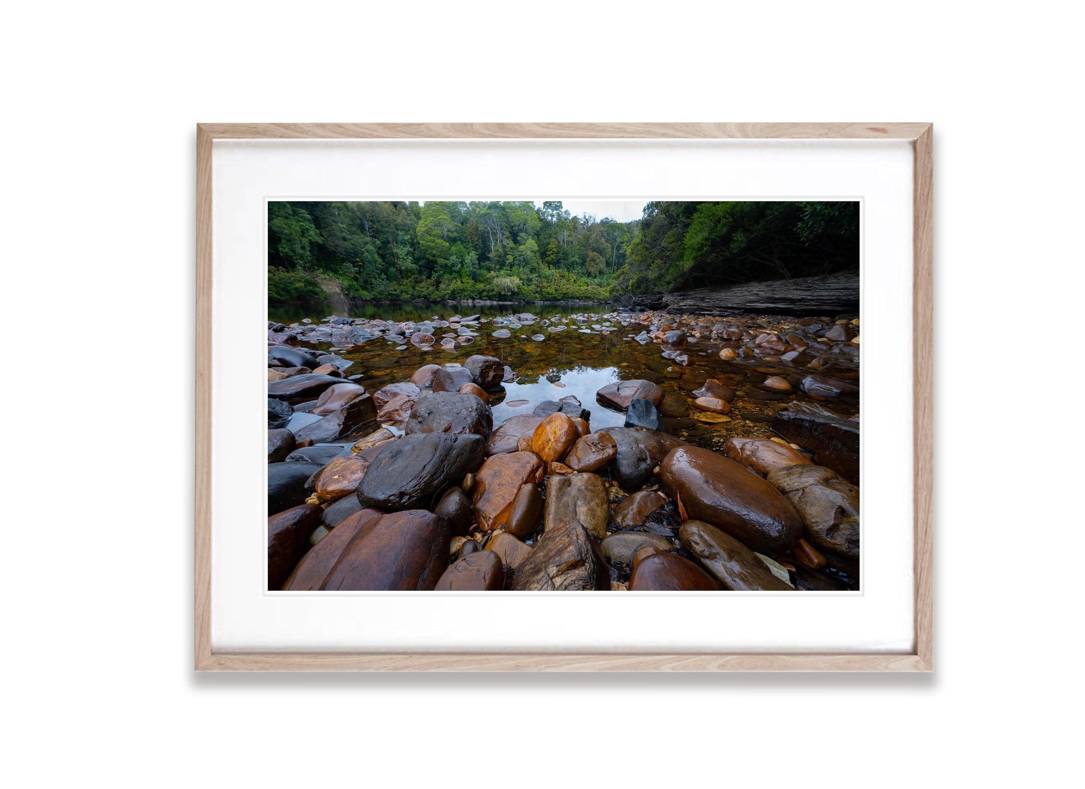 The Lower Franklin River, Tasmania