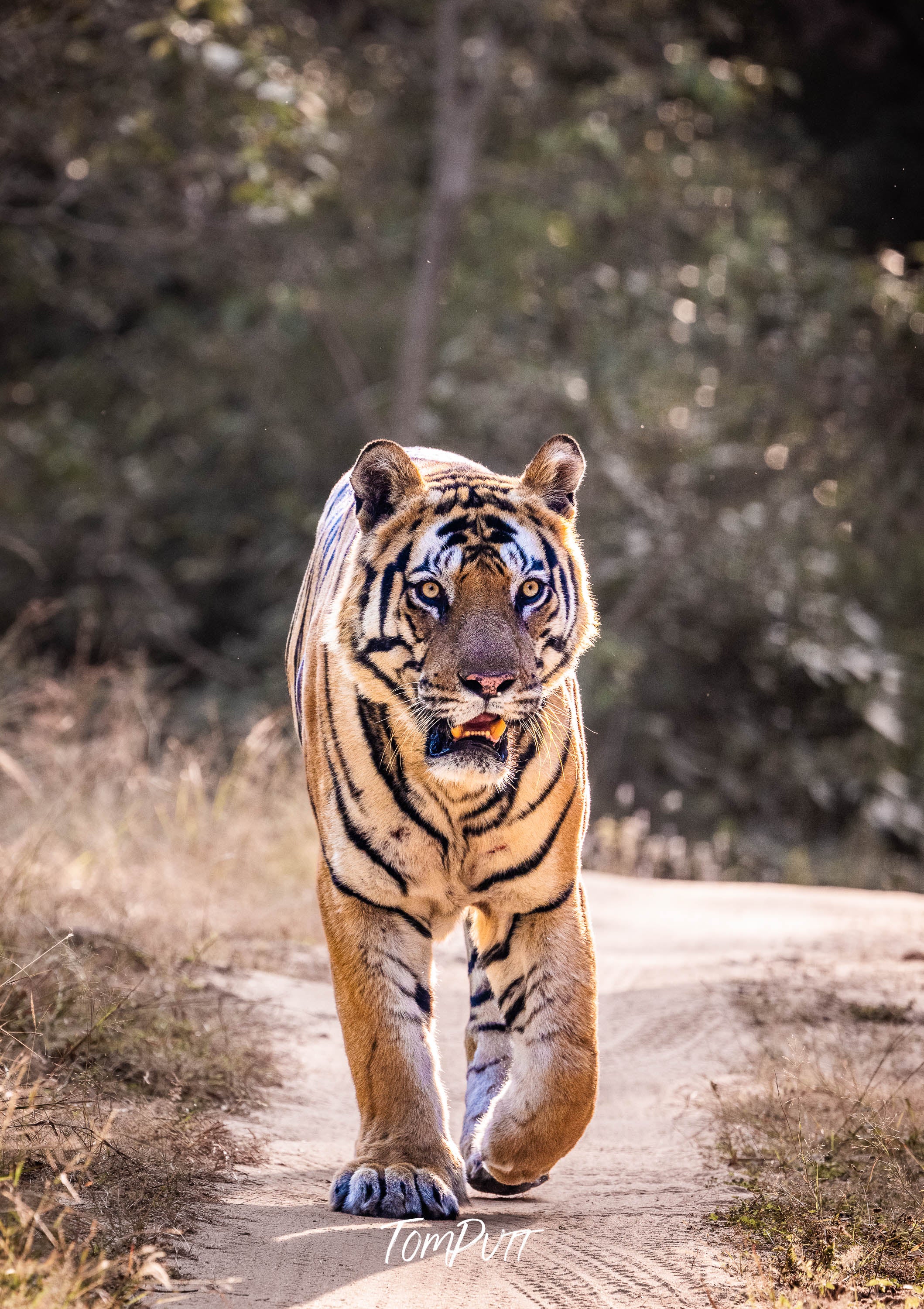 In Her Stride, India