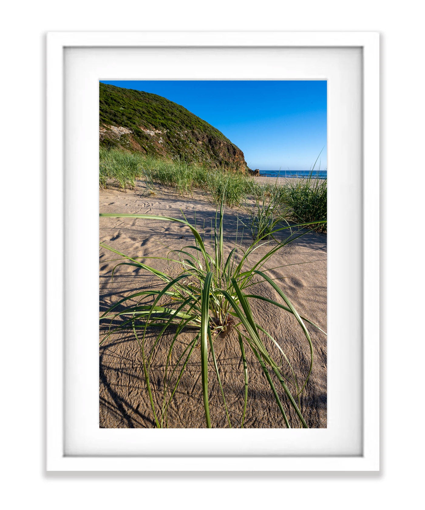 Aire River Grasses, Great Ocean Road