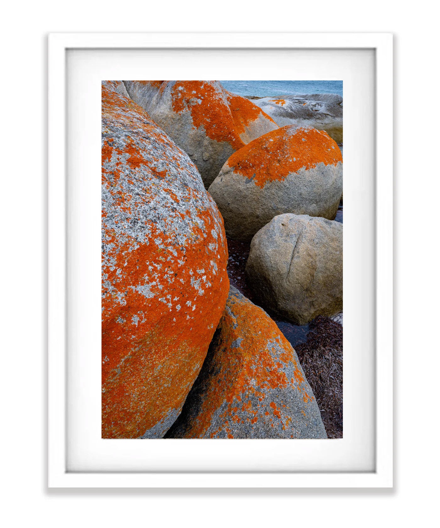 Red Lichen Rocks No.5, Flinders Island, Tasmania