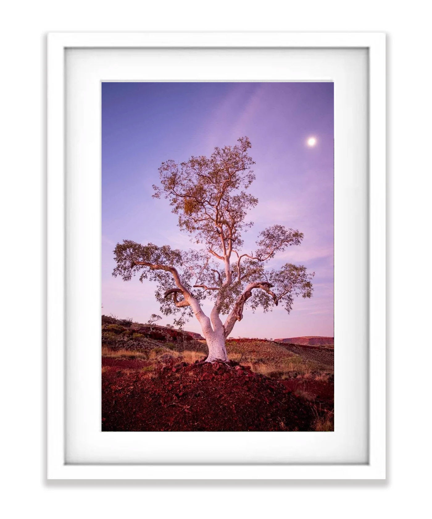 Gum Glow - Karijini, The Pilbara