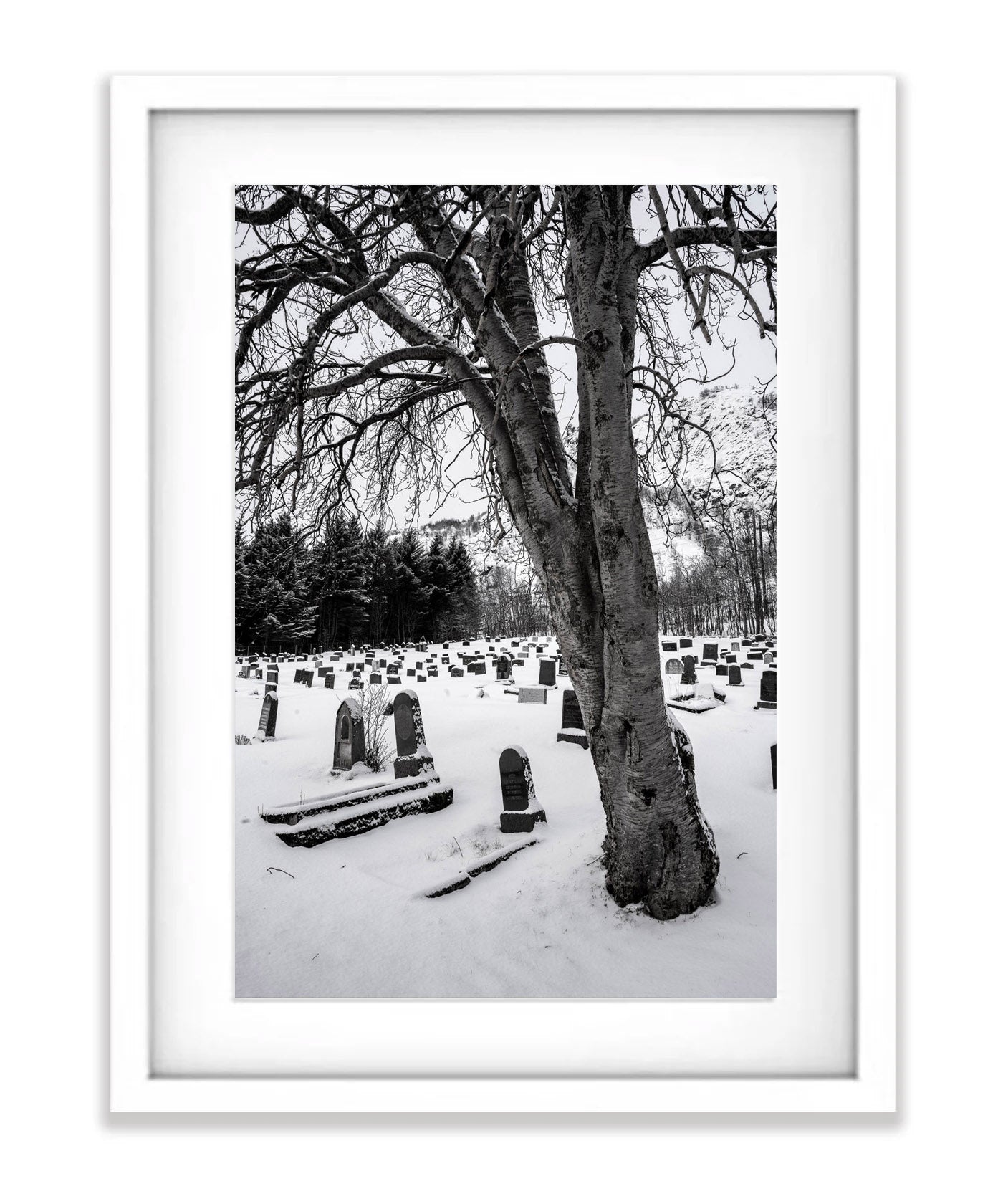 Cemetery, Lofoten, Norway