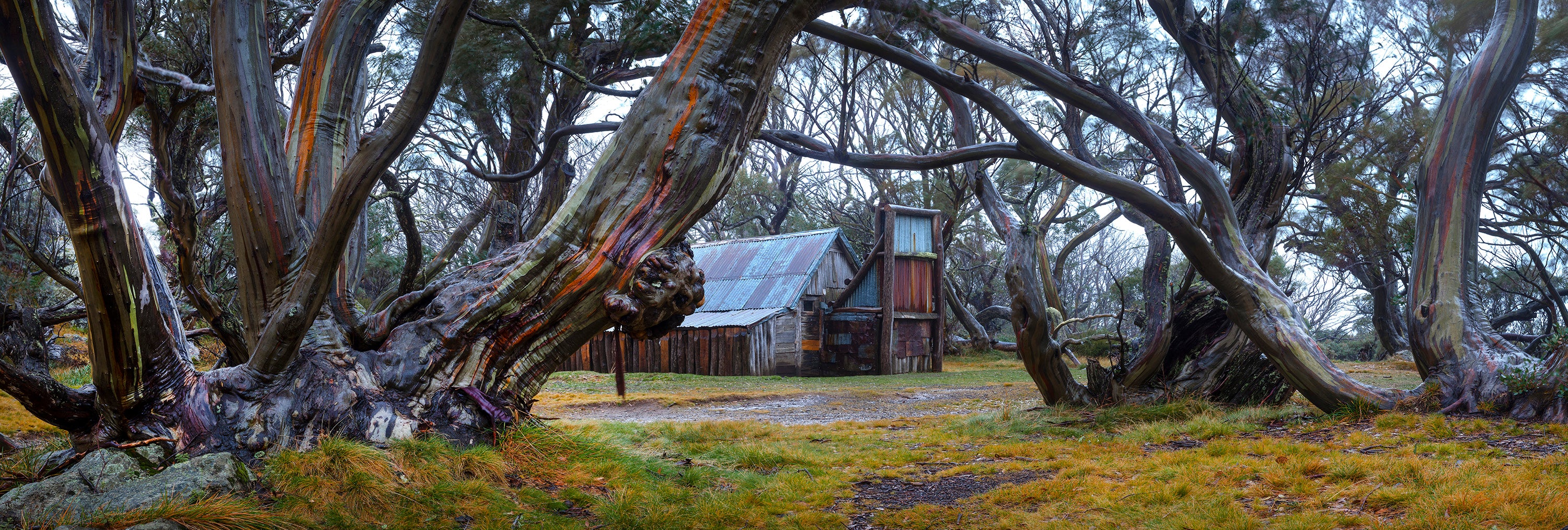 Mystic Echos (Wallace's Hut) - Victorian High Country