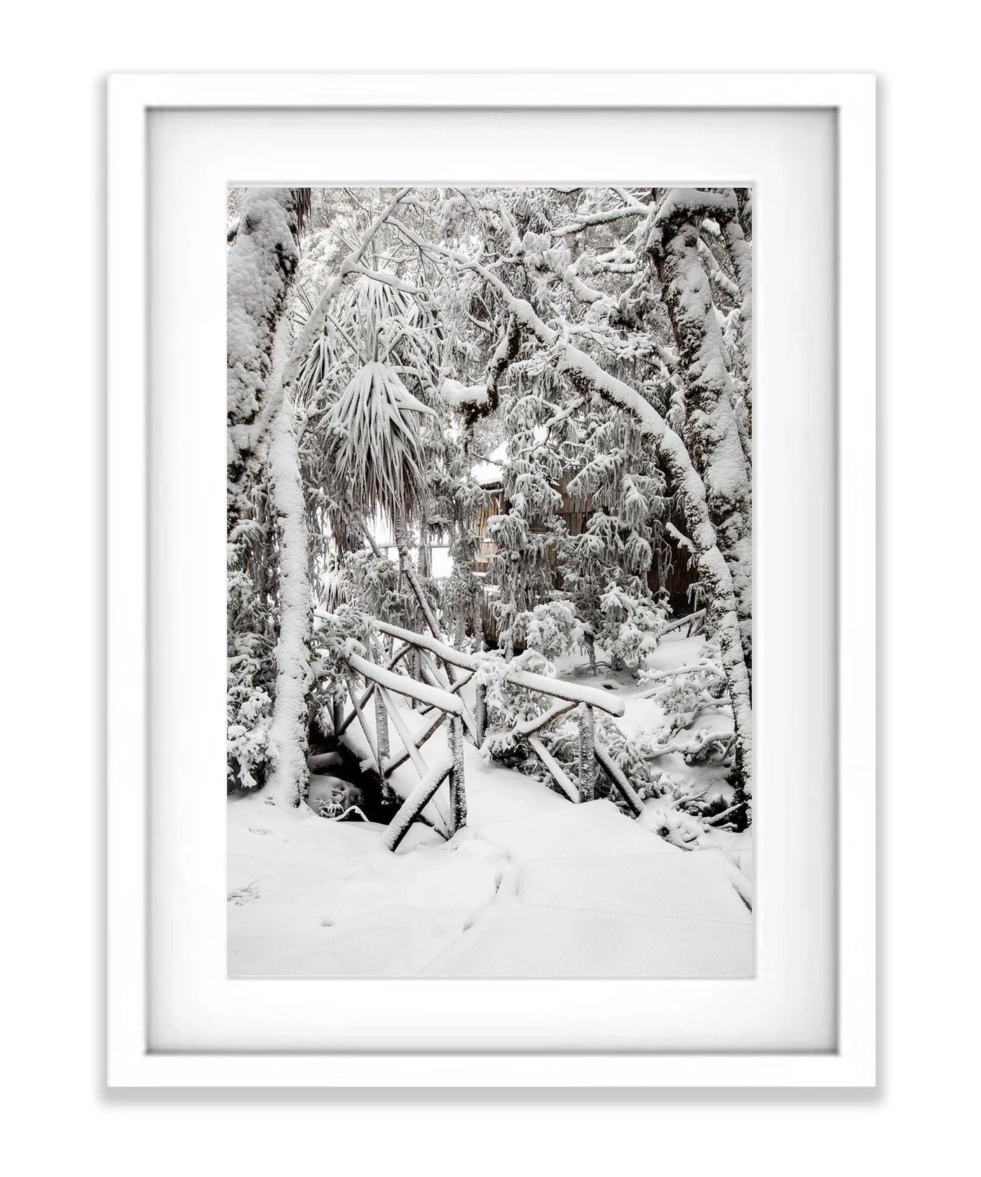 Snow-Covered Bridge, Cradle Mountain, Tasmania