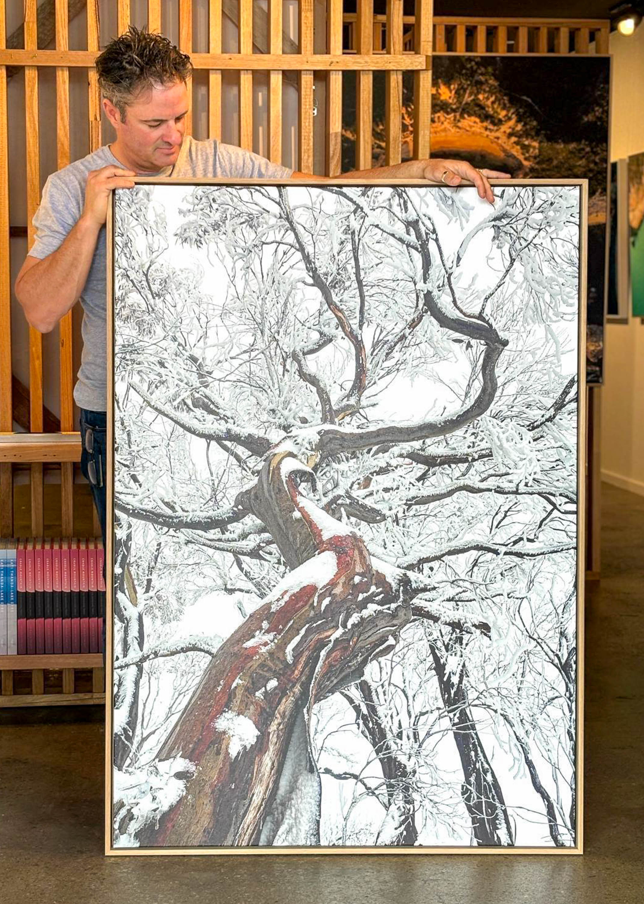 ARTWORK INSTOCK - 'Reaching Up, Snow Gum, Mount Buller' - 150x100cms Canvas Framed Print Raw Oak