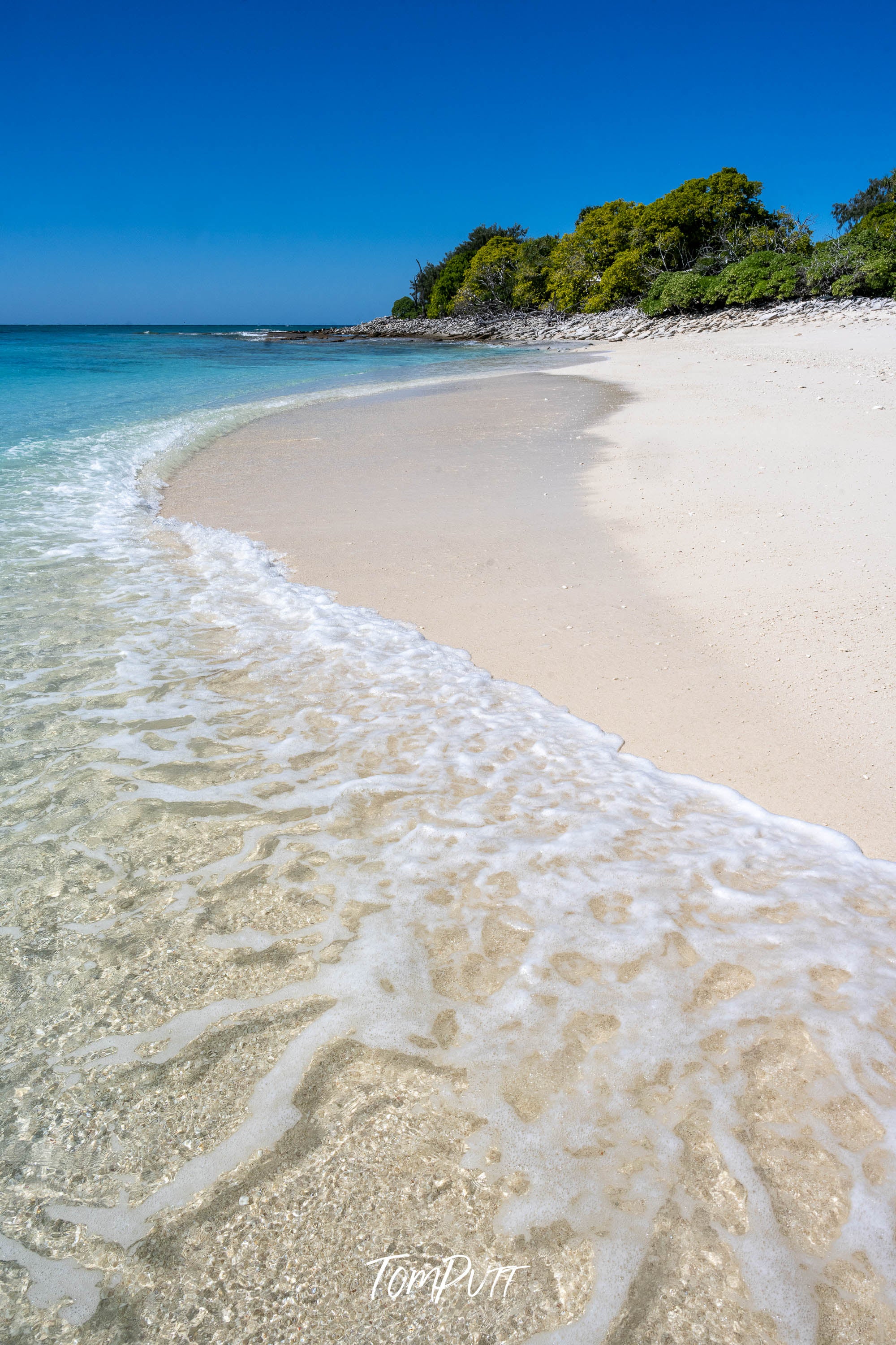 The Curve of the Shore