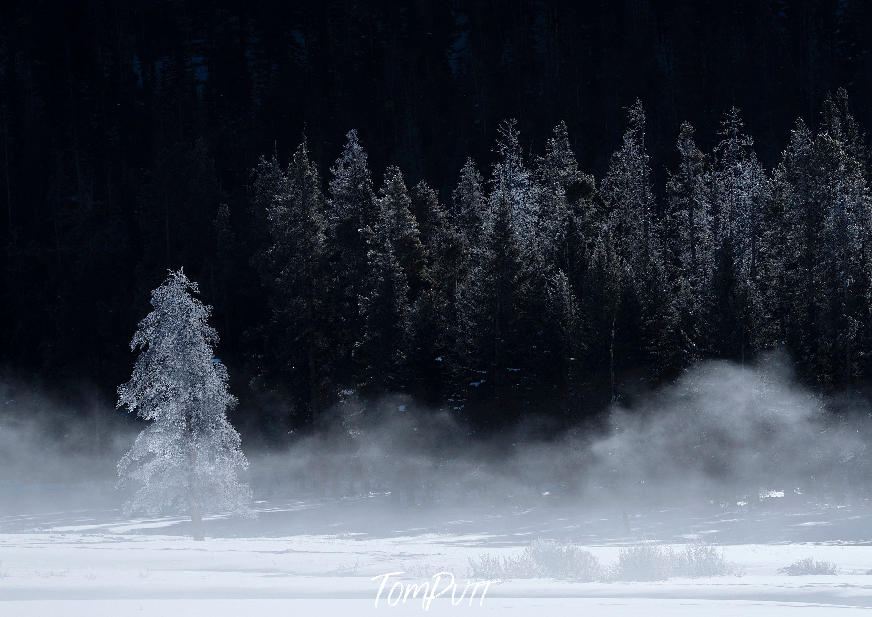 The Mist, Yellowstone NP