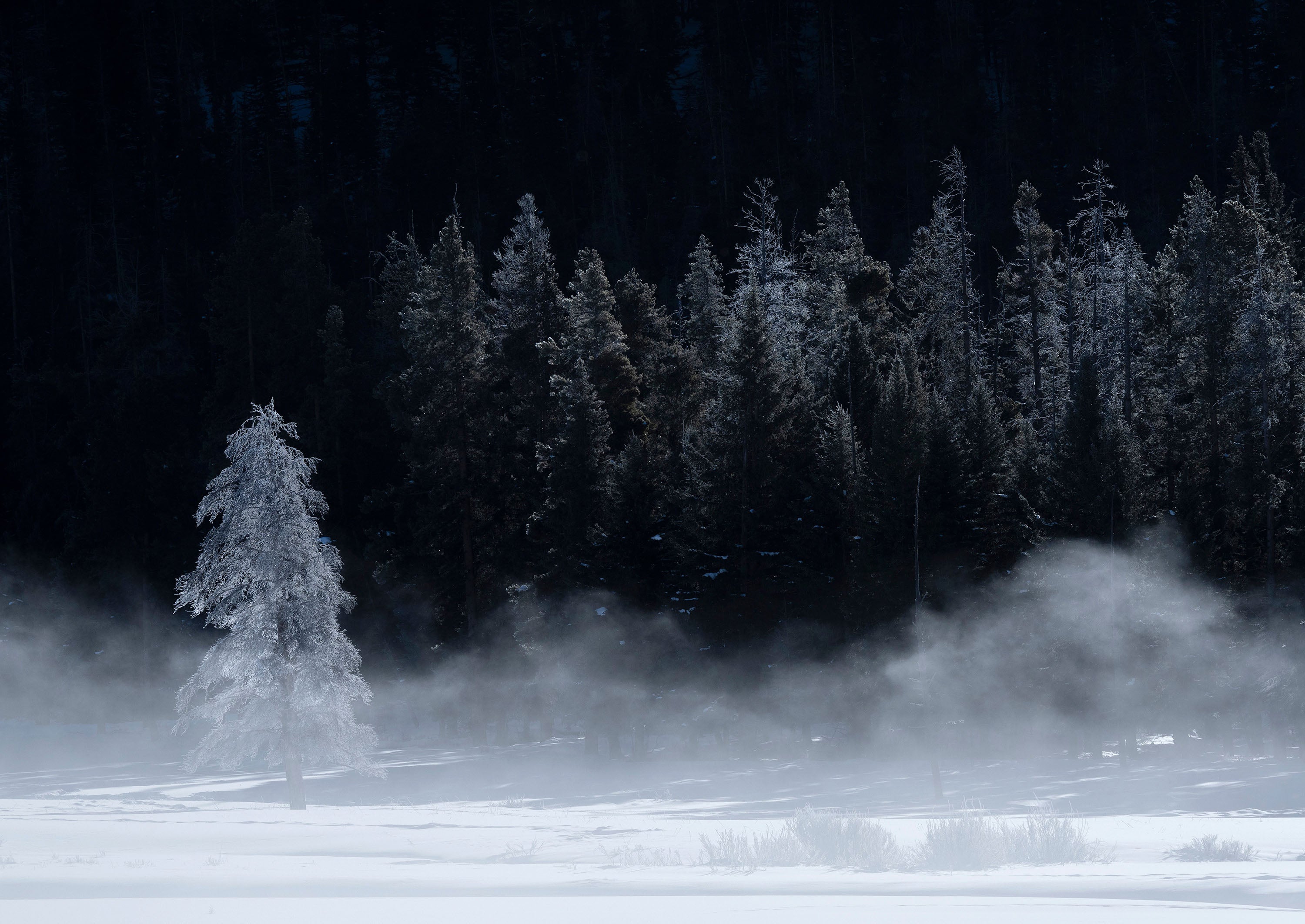 The Mist, Yellowstone NP