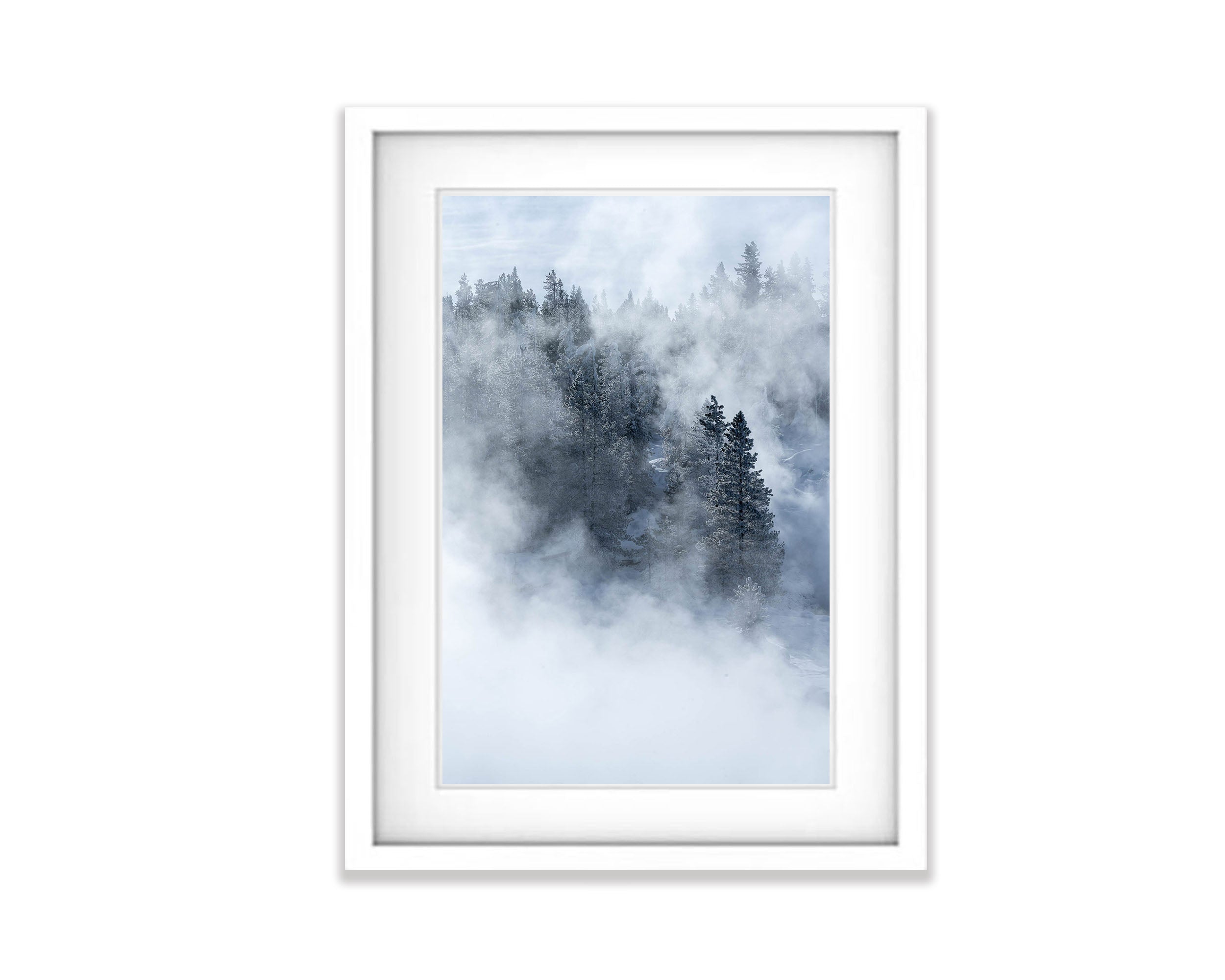 Misty Morning, Yellowstone NP