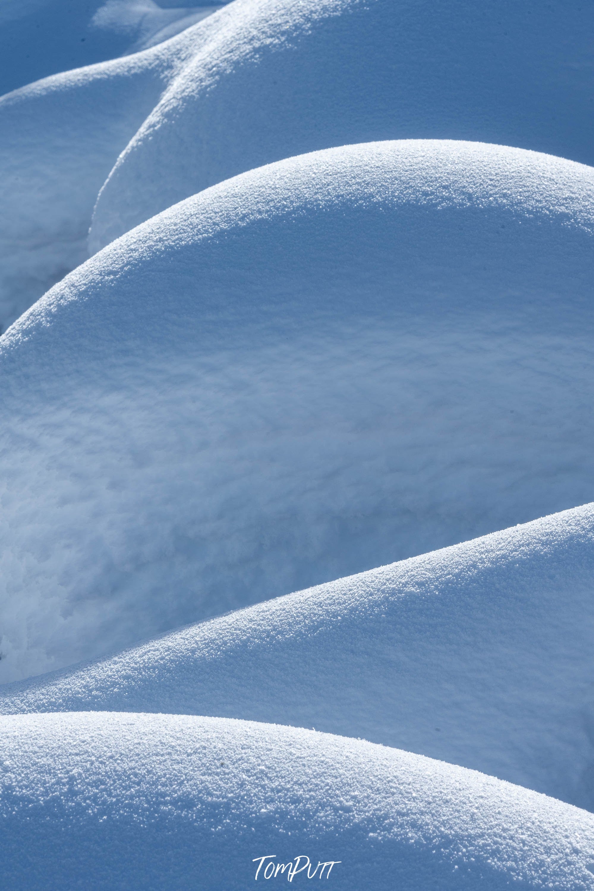 Snow Bumps, Yellowstone NP