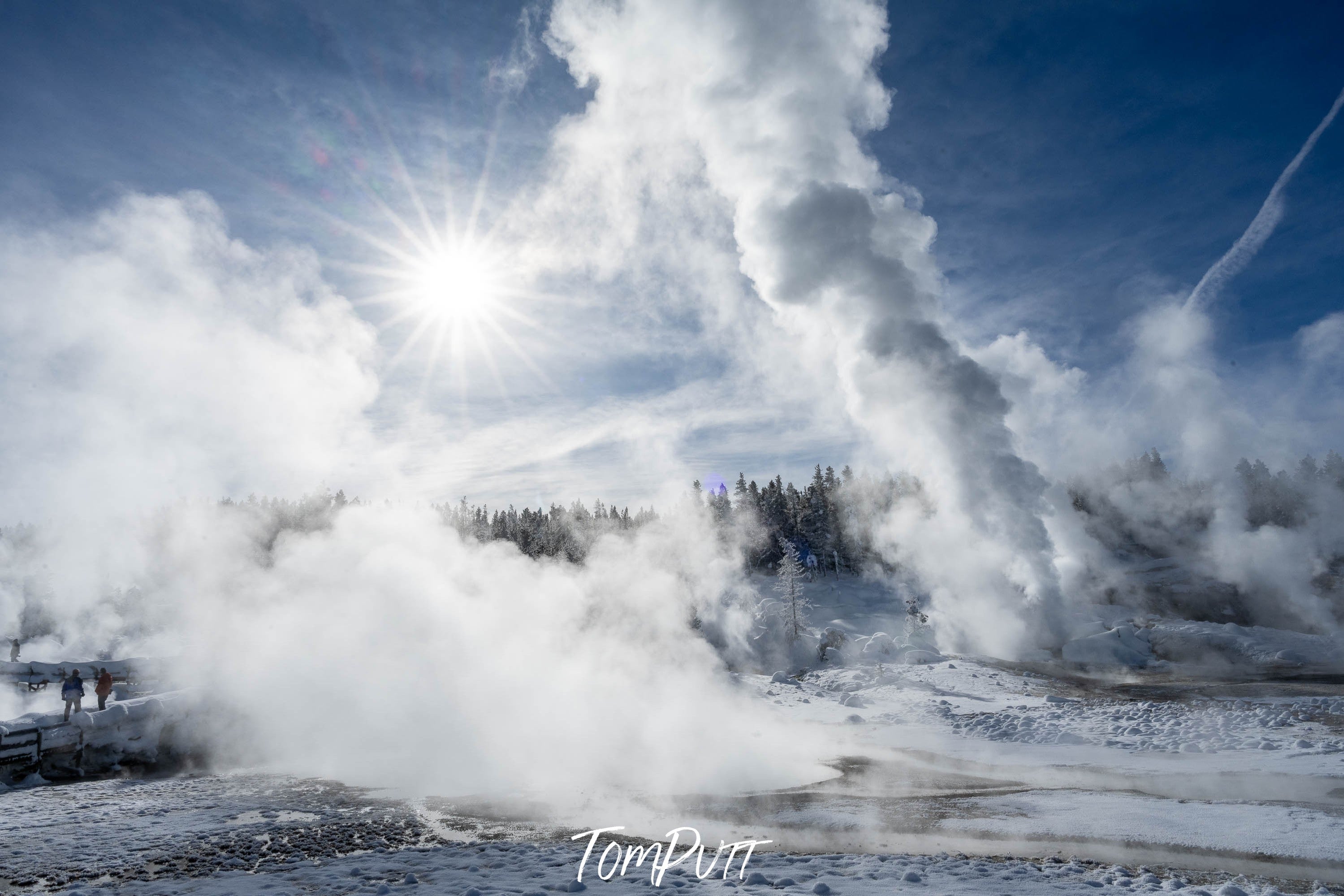 Sun Star, Yellowstone NP