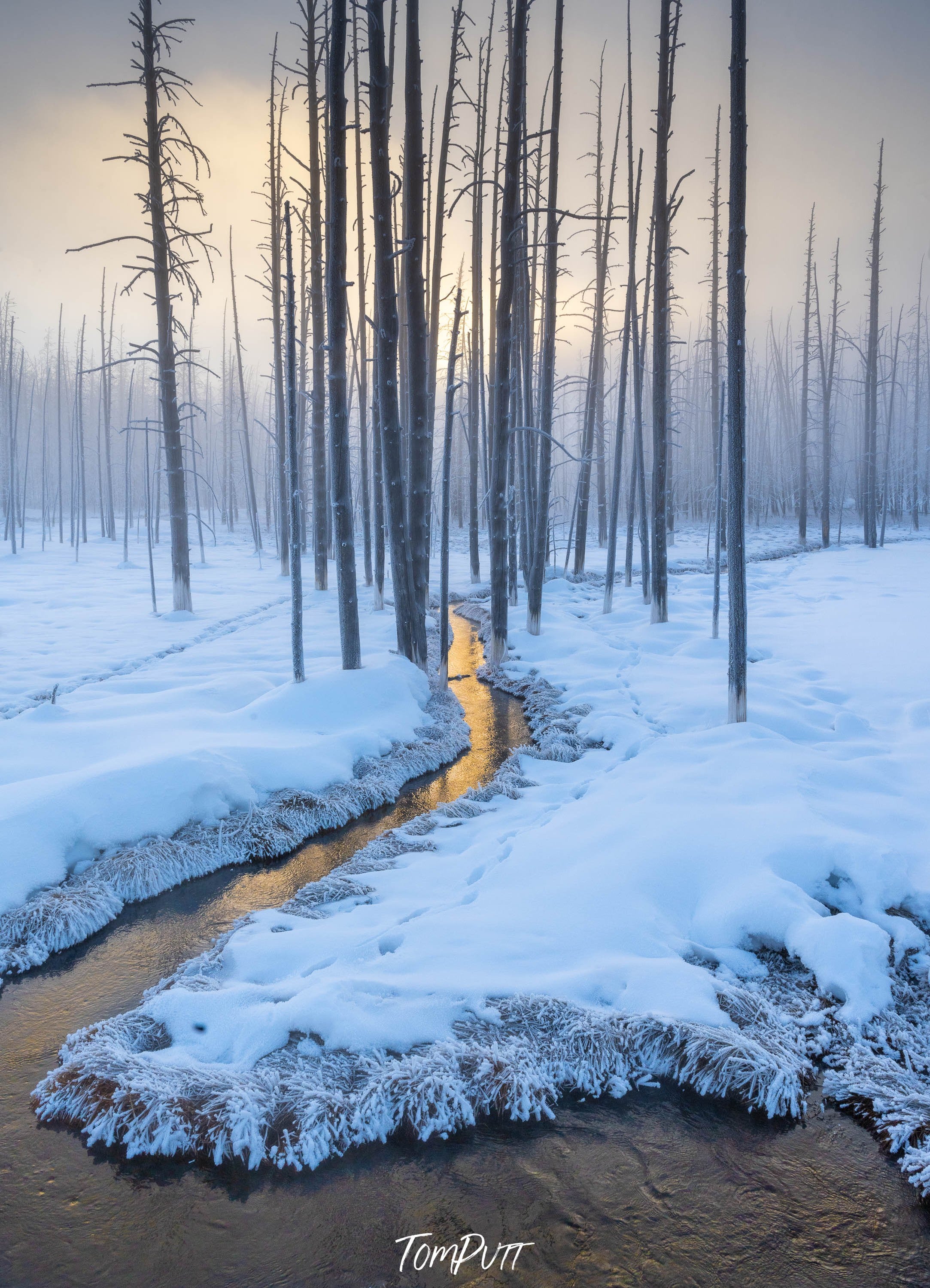 Morning Glow, Yellowstone NP