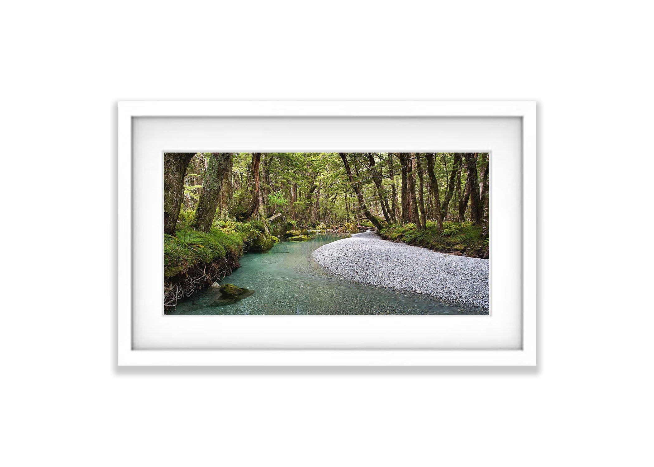 A Quiet Stream, Routeburn Track - New Zealand