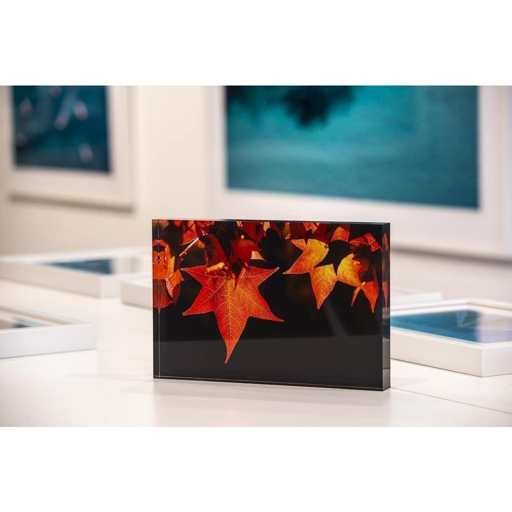 Shiny Acrylic block with beautiful orange-colored Leaves - Acrylic Block by Tom Putt