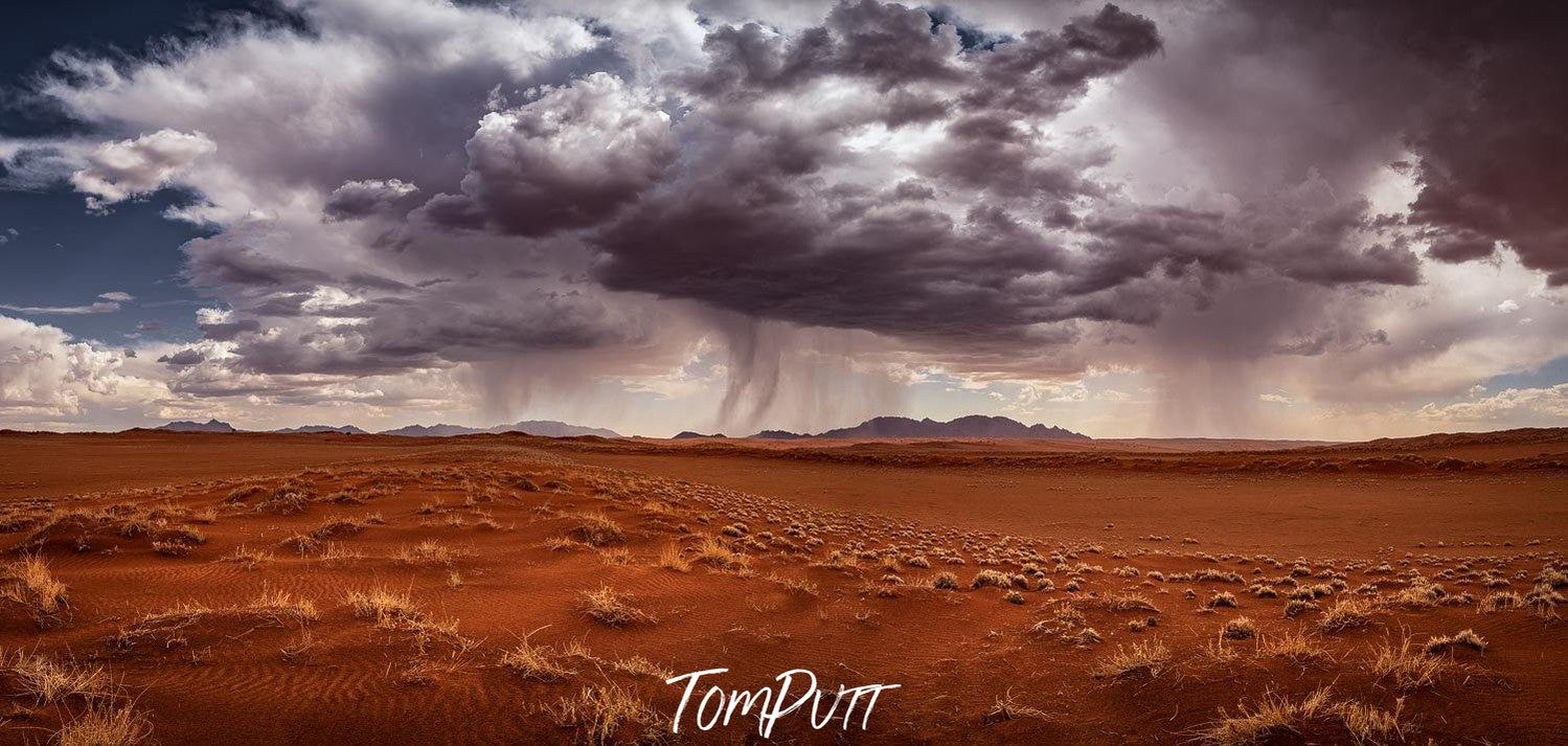 Desert with little grass and bushes in some area, and the stormy dense clouds ready to fall on the ground, Afternoon Storm - Wolwedans, Namibia