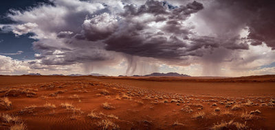 Desert with little grass and bushes in some area, and the stormy dense clouds ready to fall on the ground, Afternoon Storm - Wolwedans, Namibia