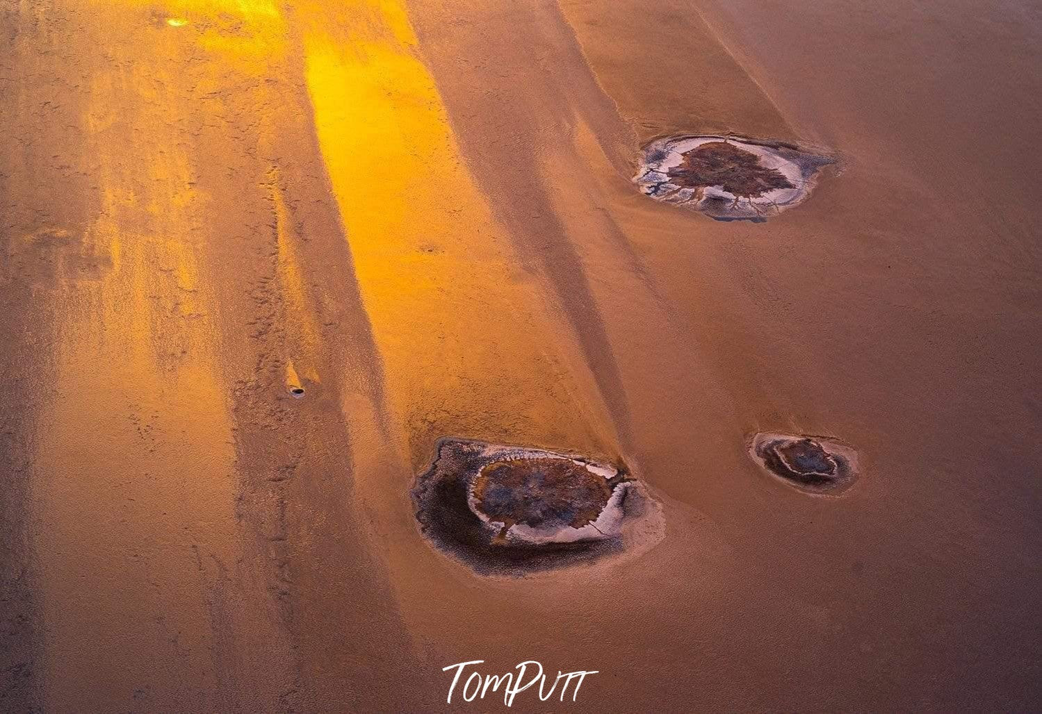 Alien Landing-Tom-Putt-Landscape-Prints