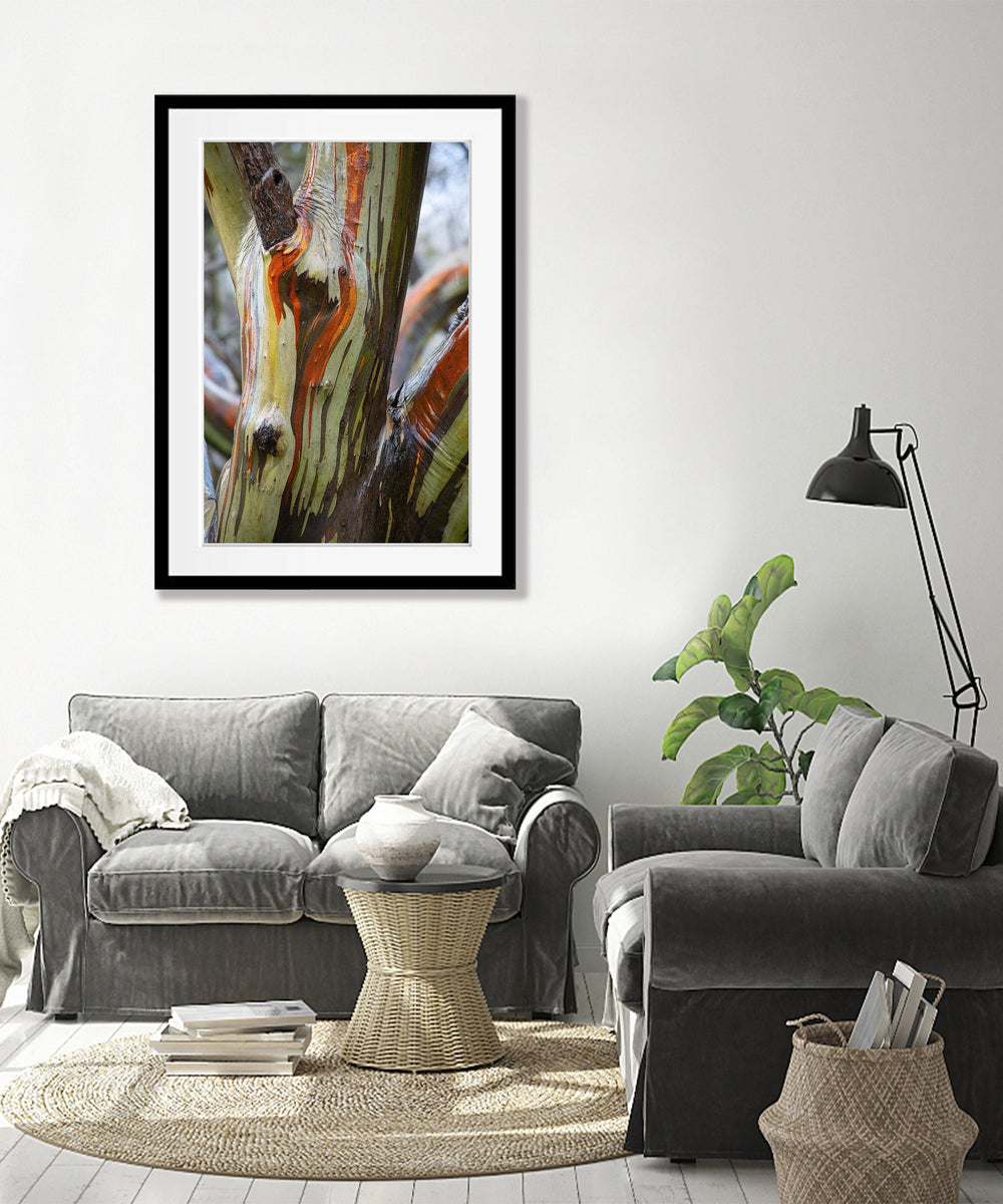 Shop Alpine Colour, Snow Gums - Falls Creek VIC Print & Wall Art - Tom ...