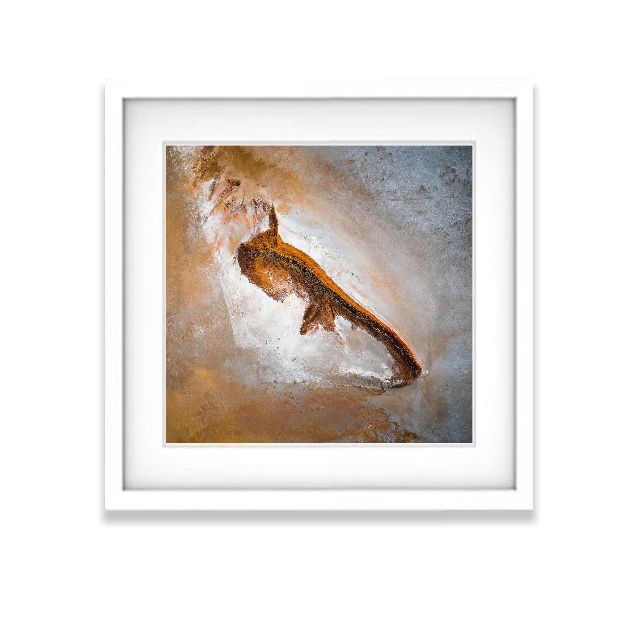 ARTWORK INSTOCK - 'Amphibian' - Available 150 x 150cms Mounted Print (ready to frame) in the gallery TODAY!