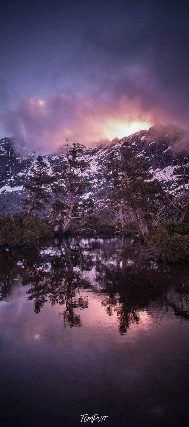 A night view of snowy mounds with long trees and plants forming a clear reflection in the lake below, Artists Pool - Cradle Mountain TAS