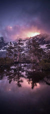 A night view of snowy mounds with long trees and plants forming a clear reflection in the lake below, Artists Pool - Cradle Mountain TAS