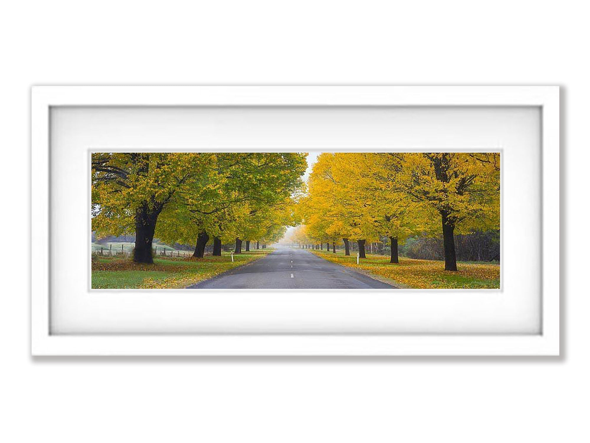 Autumn Road, Bright Victoria