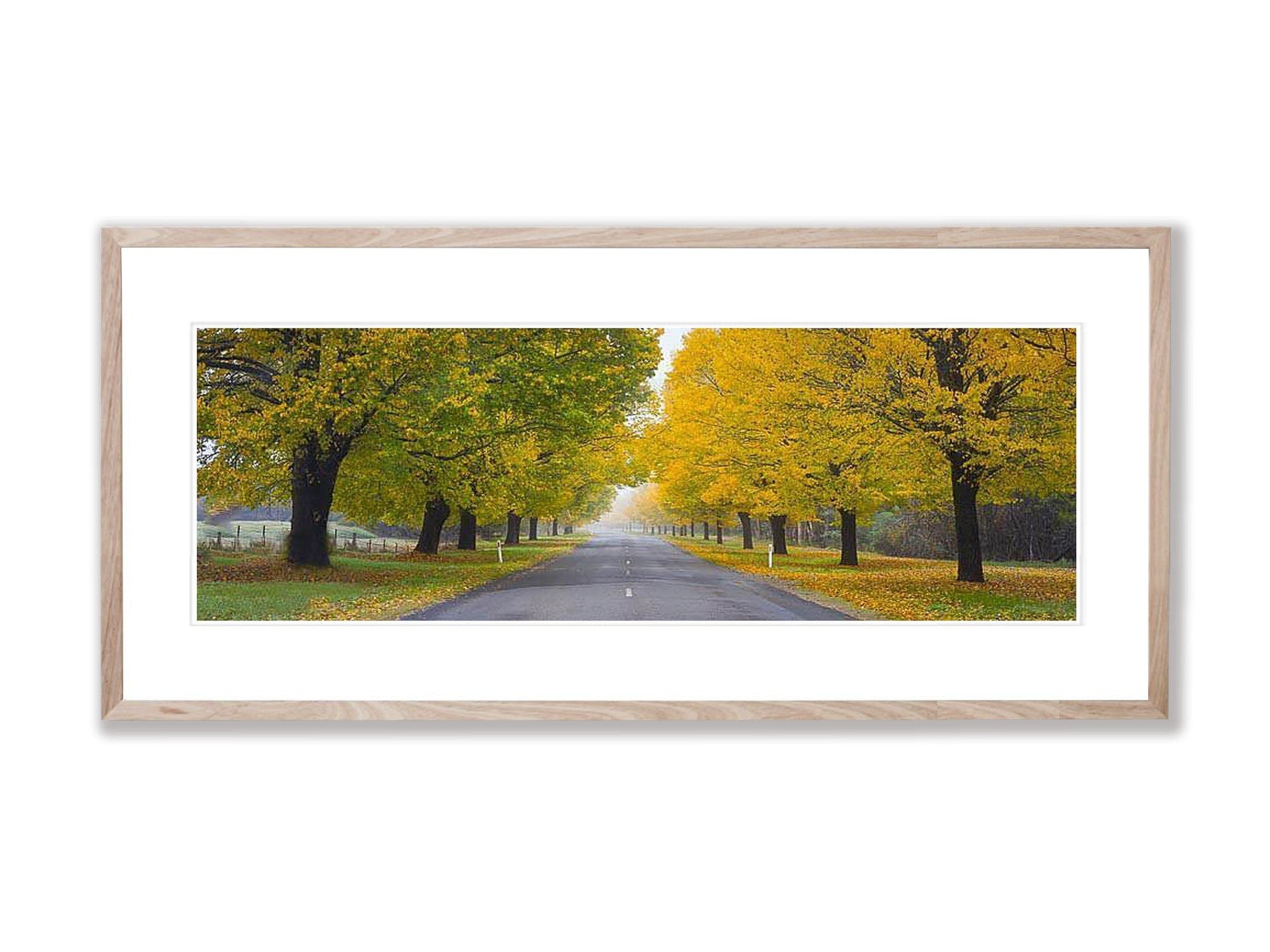 Autumn Road, Bright Victoria