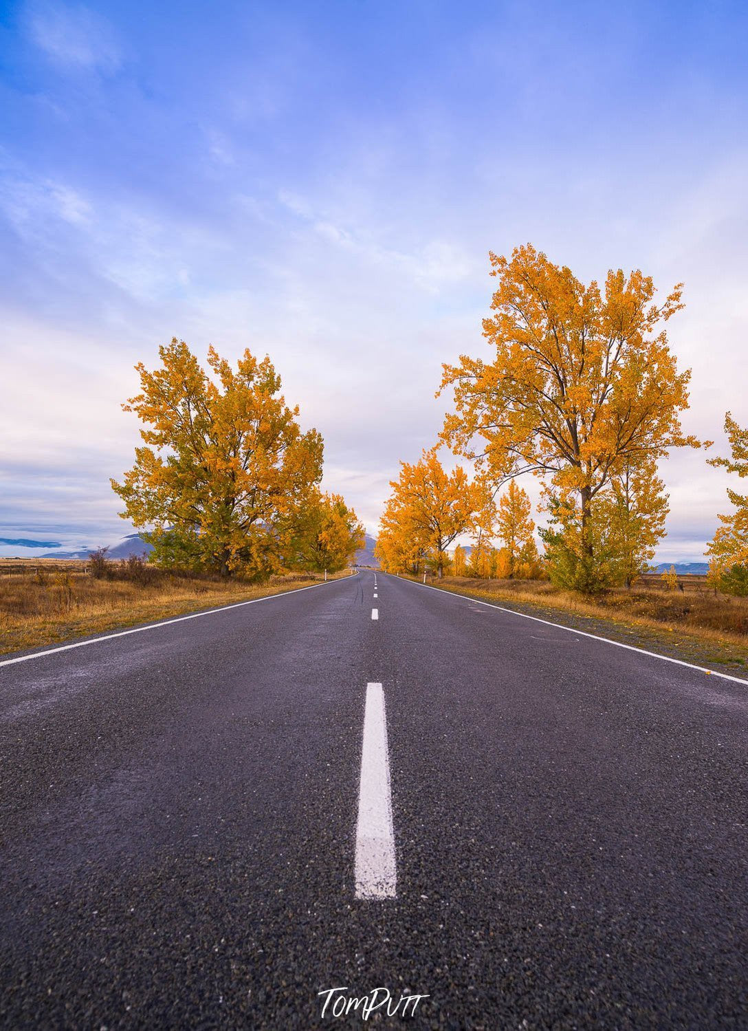 A road with some greenery around, New Zealand #22