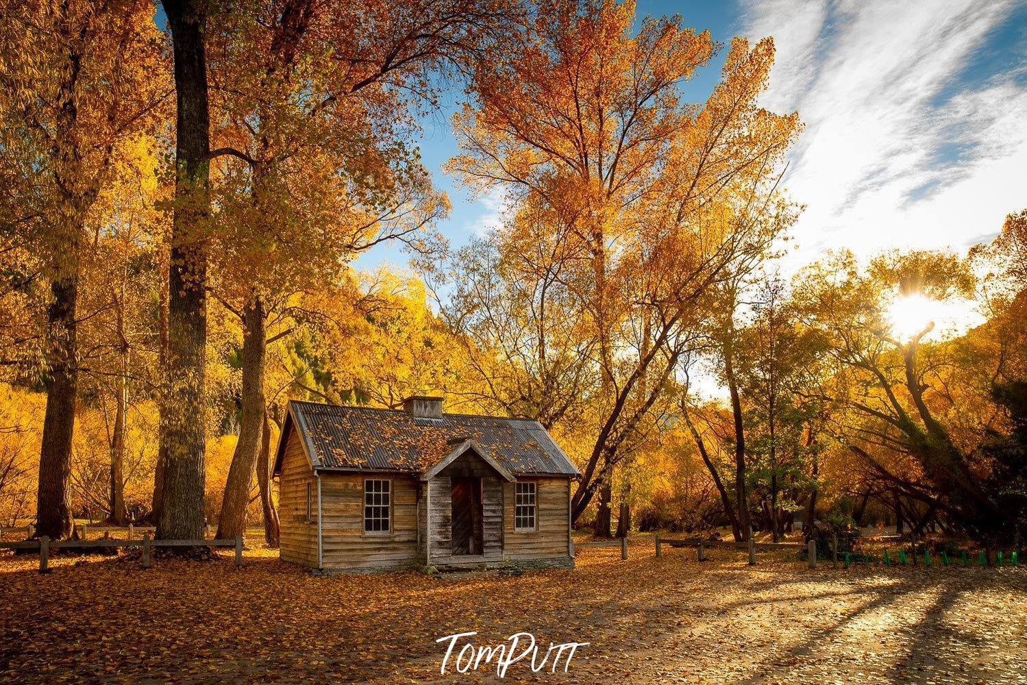 An old house with the long-standing autumn trees in surroundings, and countless same trees in the background, Autumn in Arrowtown - New Zealand 