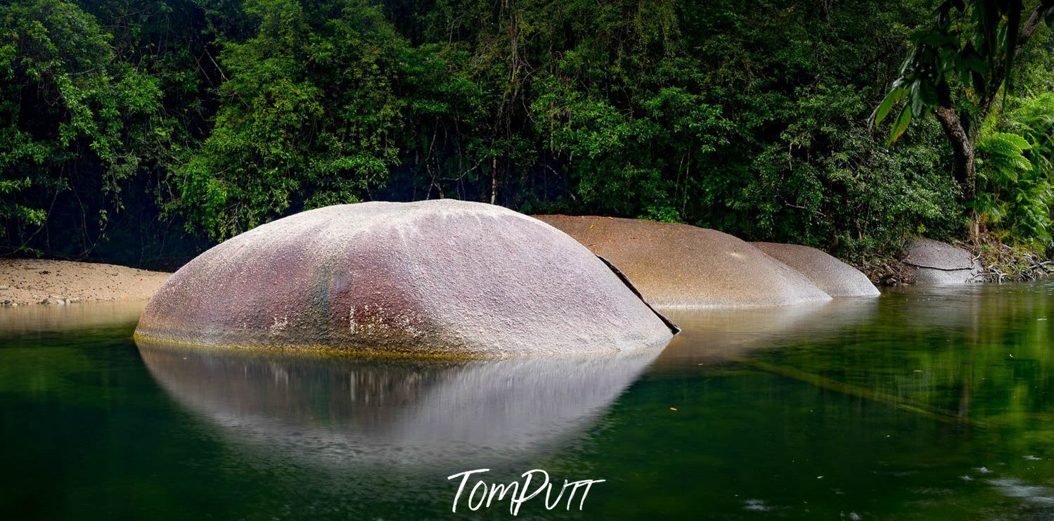 A series of round-shaped stones in the water creating clear half reflections in the water, with lush greenery behind them, Babinda Boulders Reflections, Far North Queensland