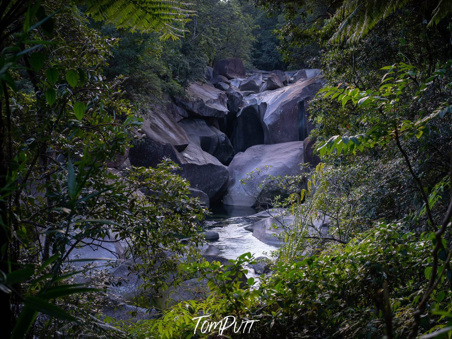 A window view of heavy black boulders with some water flow on the ground and a couple of plants in the nearest foreground that is forming a windowed view, Babinda Boulders Window, Far North Queensland