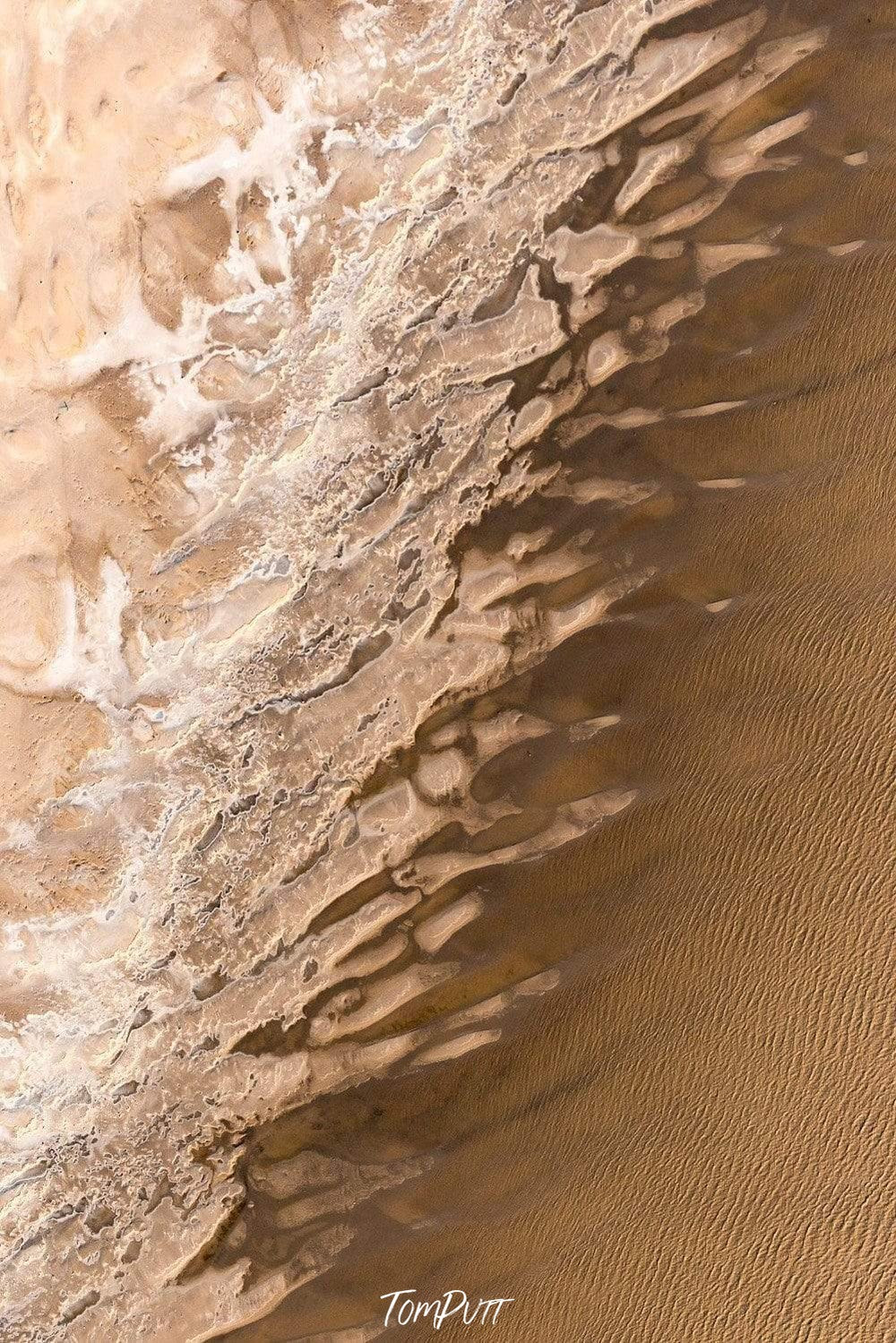 A smoky-colored texture on a sand-color surface depicting a human backbone, Backbone