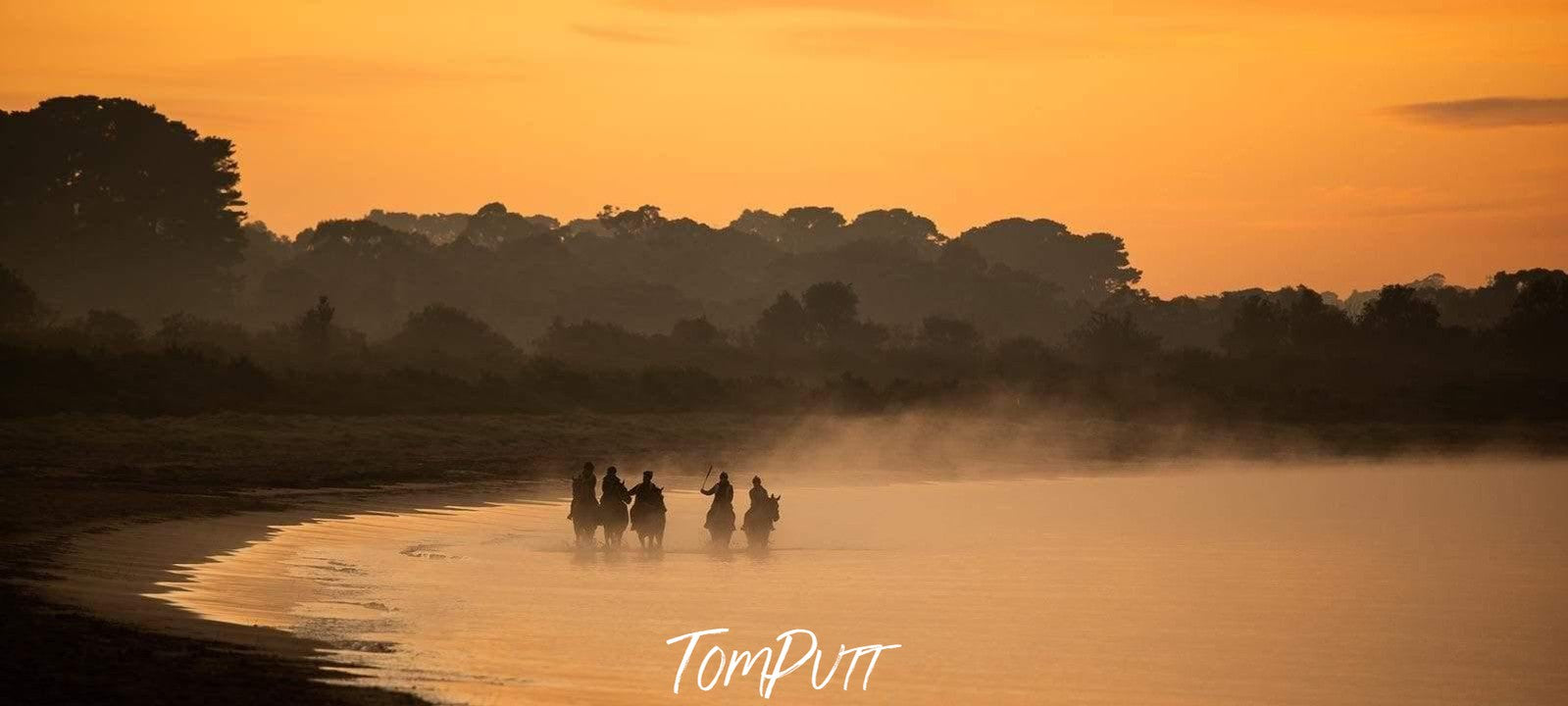 Five horses with a horseman riding on them, walking in a row with the half-feet of horses underwater, and some yellowish effect of the sunlight in the background, Balnarring Horses 1