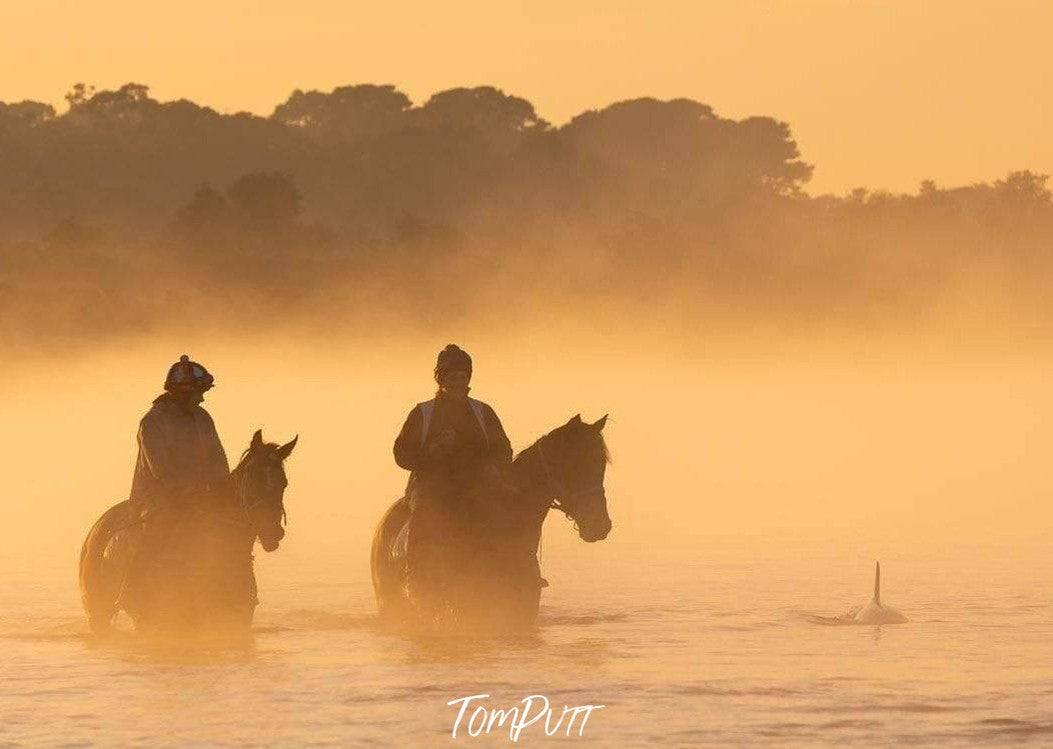 A couple of horses with a horseman riding on them, walking together with the feet of the horses underwater, and a smoky fog effect in the scene, Balnarring Horses - Framed version 