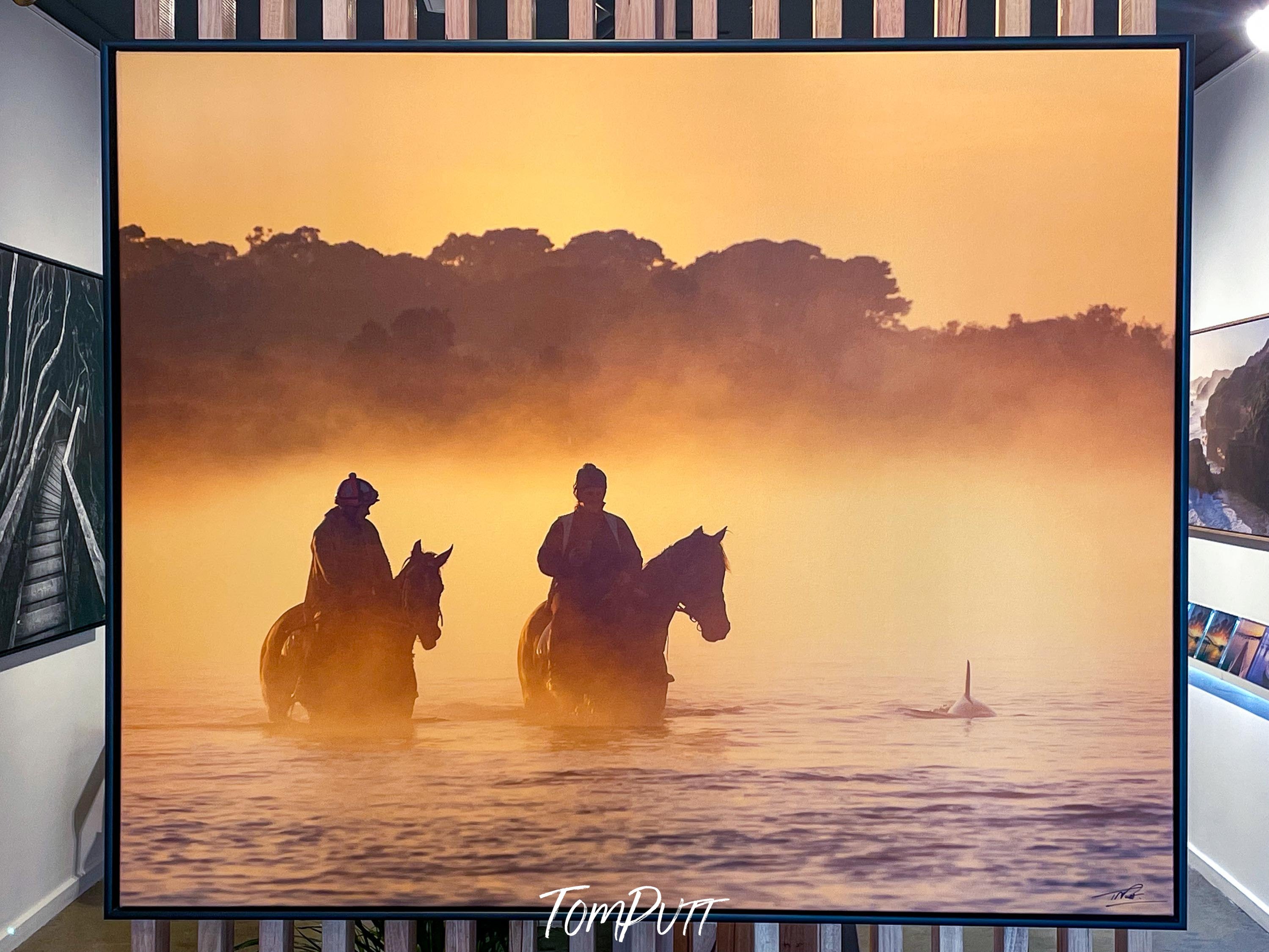 ARTWORK INSTOCK - 'Balnarring Horses' - 150x130cms Canvas Framed Print Black