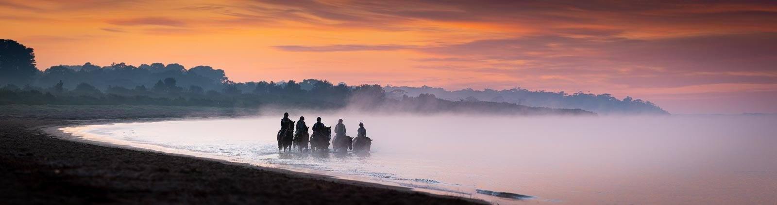 A landscape shot of five horses with horsemen riding on them, standing in a row with the feet of horses underwater, and some fog in the background, Balnarring Horses 16 - Mornington Peninsula Victoria  