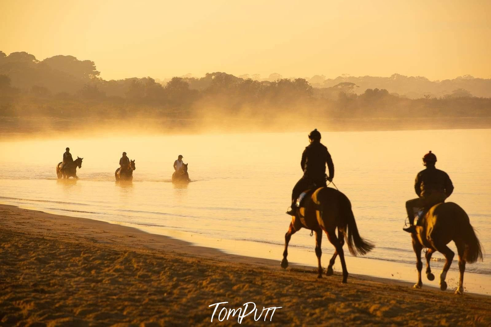 Five horses with a horseman riding on them, two standing near on the seashore while the other three are walking in a row with the feet of horses underwater, and some fog in the background, Balnarring Horses 18 - Mornington Peninsula Victoria  