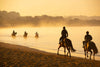 Five horses with a horseman riding on them, two standing near on the seashore while the other three are walking in a row with the feet of horses underwater, and some fog in the background, Balnarring Horses 18 - Mornington Peninsula Victoria  