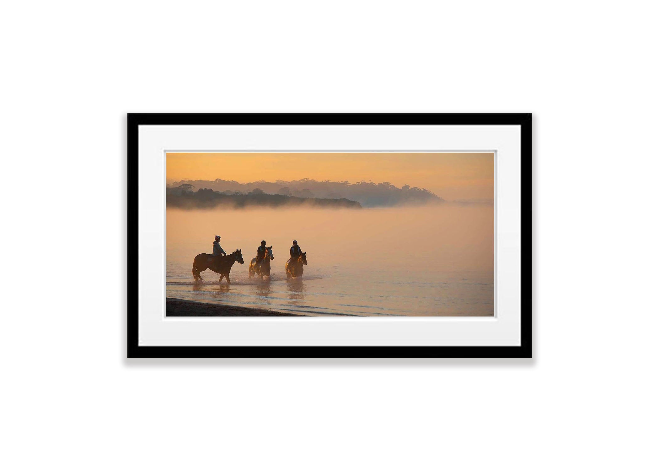 Balnarring Horses #4, Mornington Peninsula, VIC